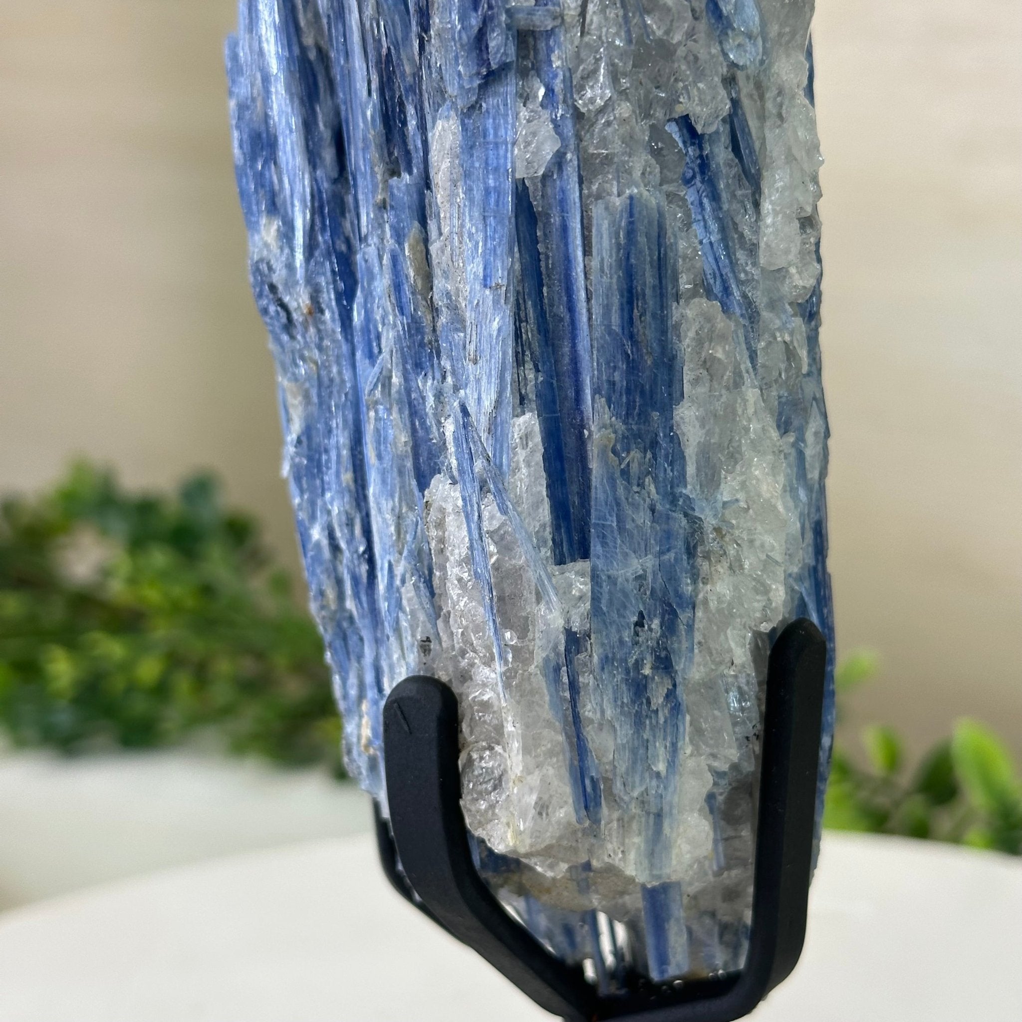 Kyanite Crystal on Metal Stand, 2.3 lbs & 10.6" Tall #6010 - 0014 - Brazil GemsBrazil GemsKyanite Crystal on Metal Stand, 2.3 lbs & 10.6" Tall #6010 - 0014Clusters on Fixed Bases6010 - 0014