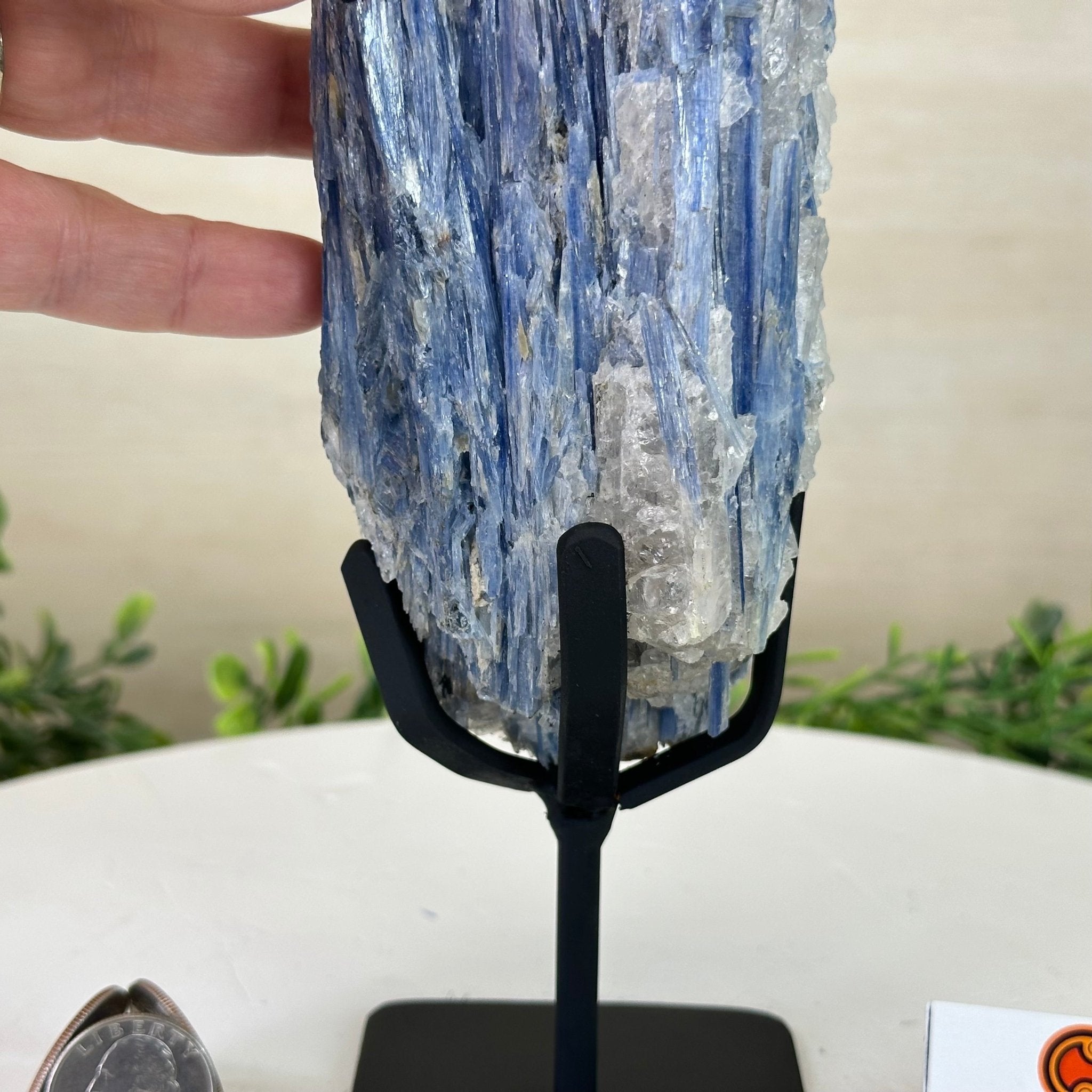 Kyanite Crystal on Metal Stand, 2.3 lbs & 10.6" Tall #6010 - 0014 - Brazil GemsBrazil GemsKyanite Crystal on Metal Stand, 2.3 lbs & 10.6" Tall #6010 - 0014Clusters on Fixed Bases6010 - 0014