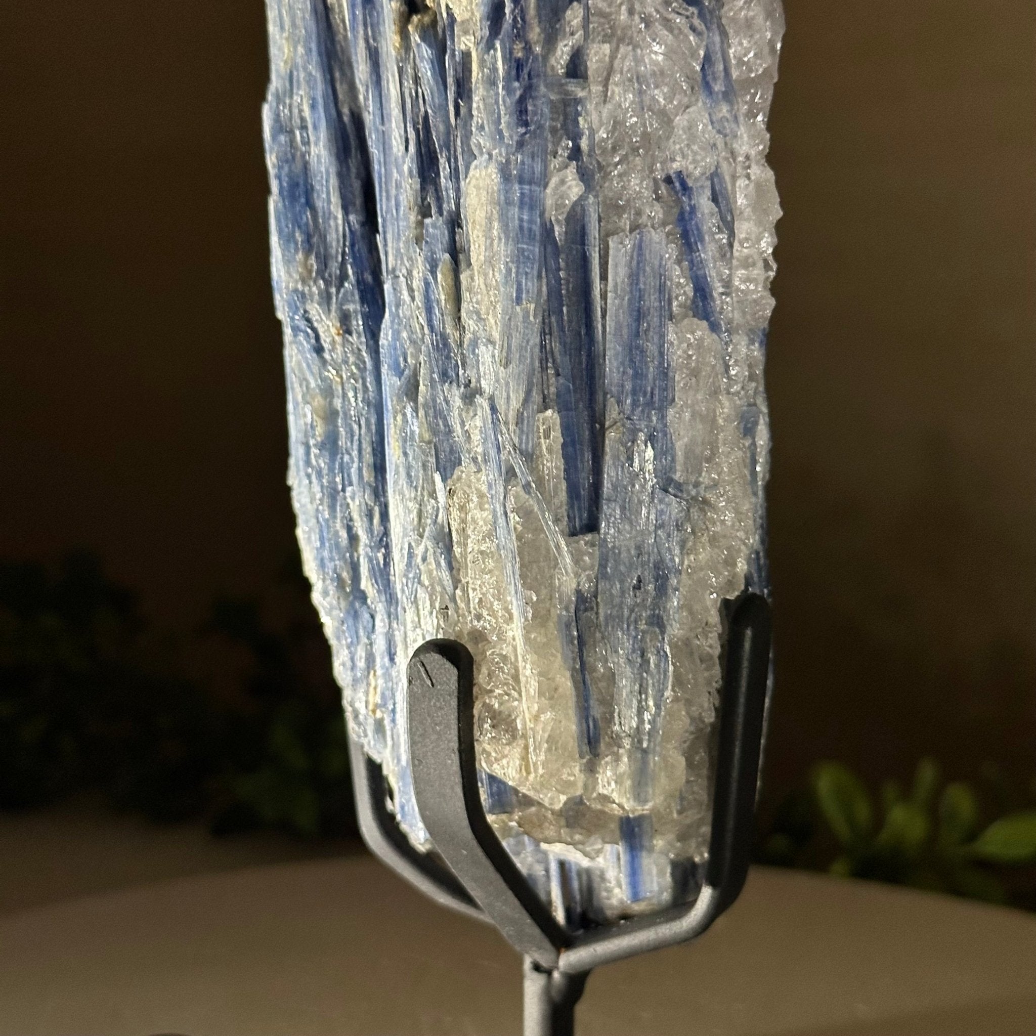 Kyanite Crystal on Metal Stand, 2.3 lbs & 10.6" Tall #6010 - 0014 - Brazil GemsBrazil GemsKyanite Crystal on Metal Stand, 2.3 lbs & 10.6" Tall #6010 - 0014Clusters on Fixed Bases6010 - 0014