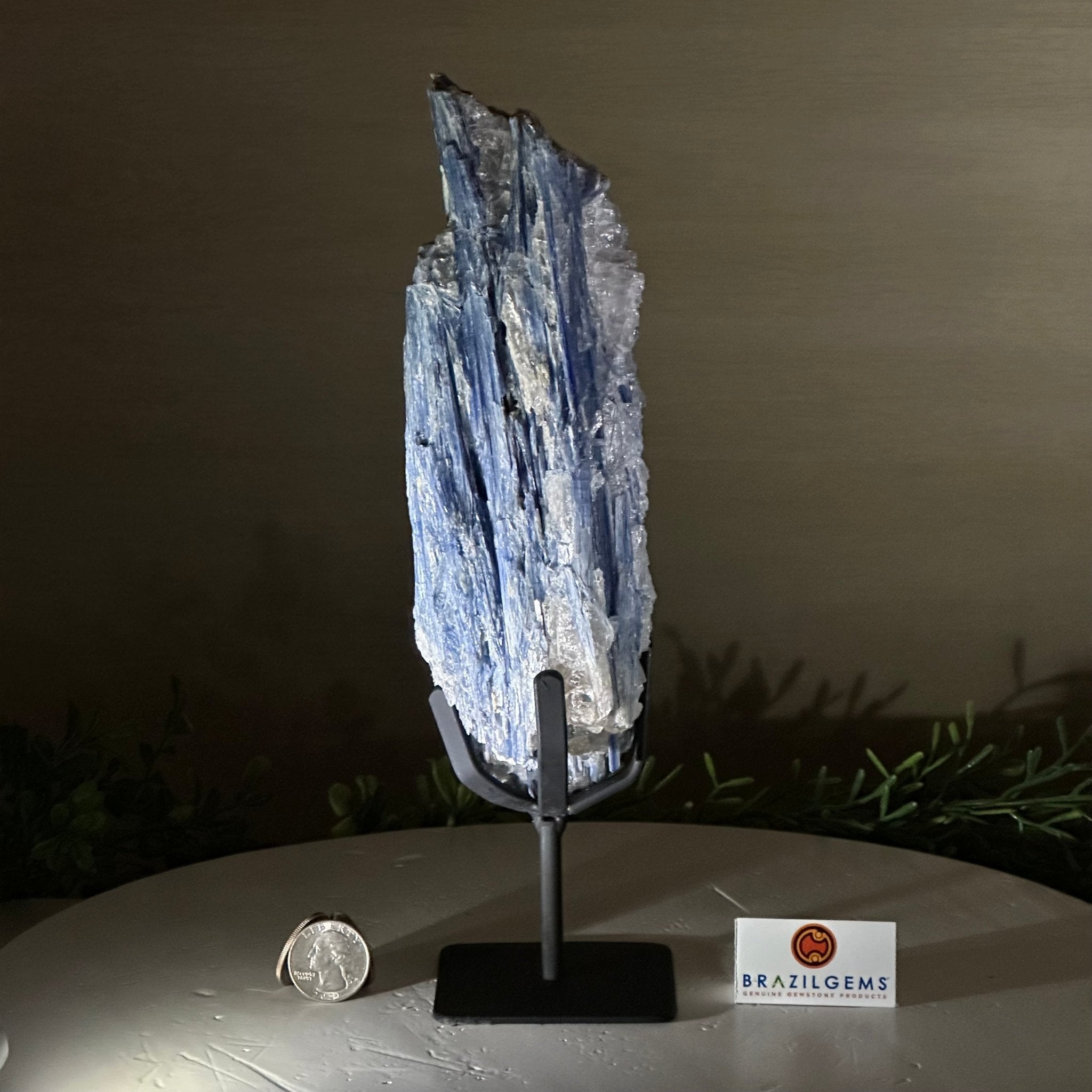 Kyanite Crystal on Metal Stand, 2.3 lbs & 10.6" Tall #6010 - 0014 - Brazil GemsBrazil GemsKyanite Crystal on Metal Stand, 2.3 lbs & 10.6" Tall #6010 - 0014Clusters on Fixed Bases6010 - 0014