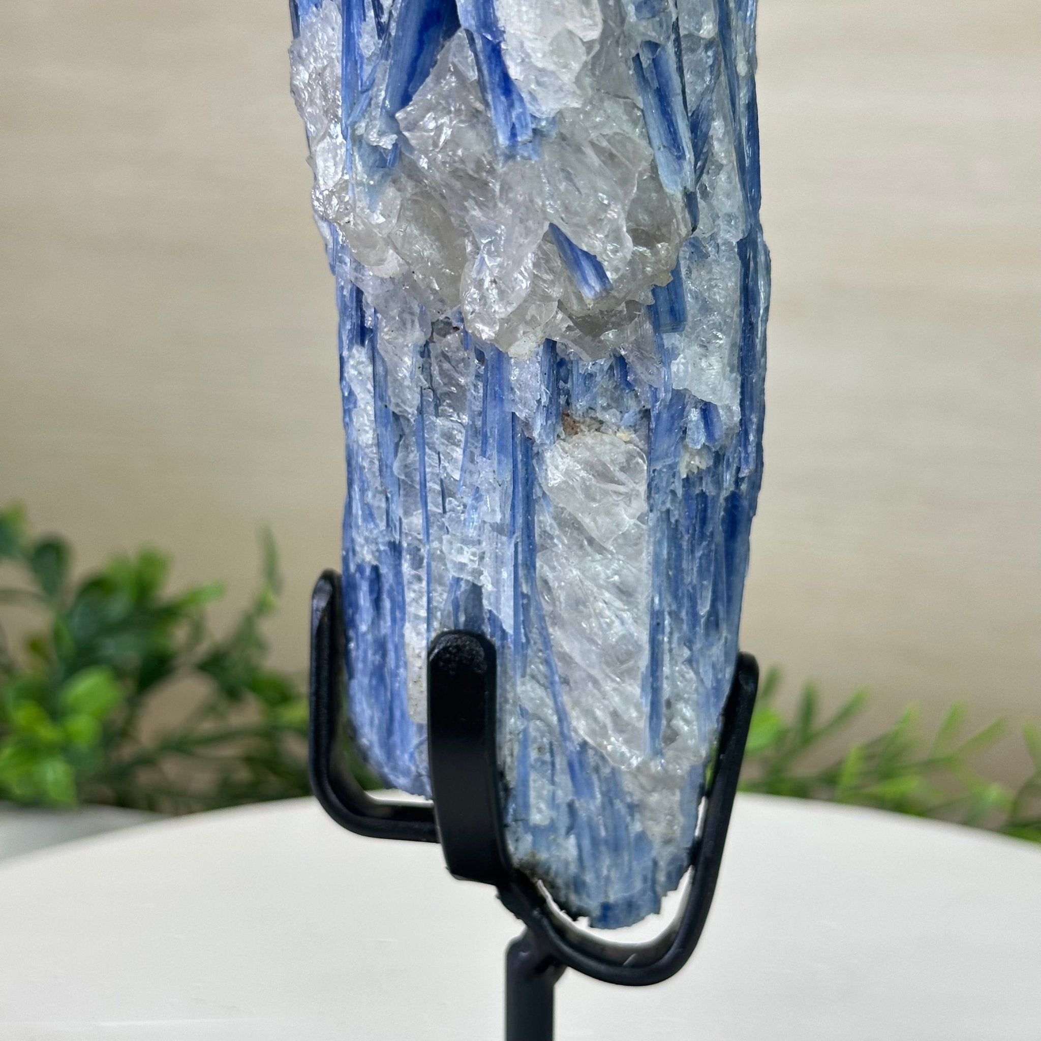 Kyanite Crystal on Metal Stand, 2.3 lbs & 9.8" Tall #6010 - 0013 - Brazil GemsBrazil GemsKyanite Crystal on Metal Stand, 2.3 lbs & 9.8" Tall #6010 - 0013Clusters on Fixed Bases6010 - 0013