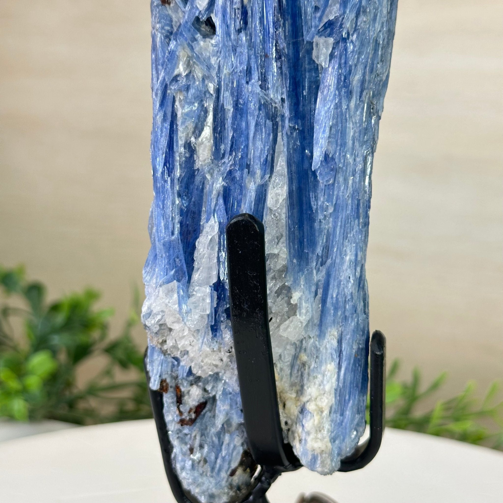 Kyanite Crystal on Metal Stand, 2.3 lbs & 9.8" Tall #6010 - 0013 - Brazil GemsBrazil GemsKyanite Crystal on Metal Stand, 2.3 lbs & 9.8" Tall #6010 - 0013Clusters on Fixed Bases6010 - 0013