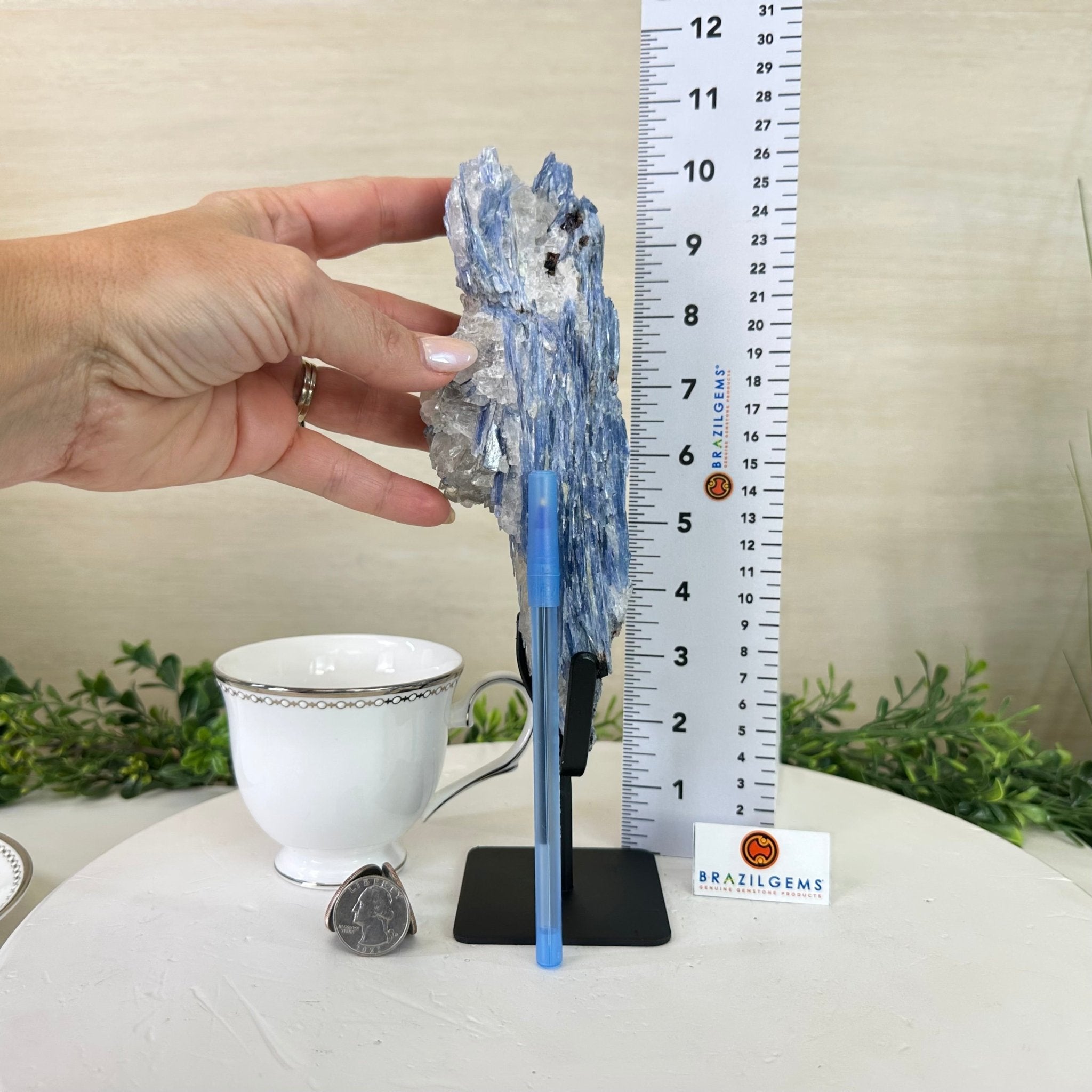 Kyanite Crystal on Metal Stand, 2.3 lbs & 9.8" Tall #6010 - 0013 - Brazil GemsBrazil GemsKyanite Crystal on Metal Stand, 2.3 lbs & 9.8" Tall #6010 - 0013Clusters on Fixed Bases6010 - 0013