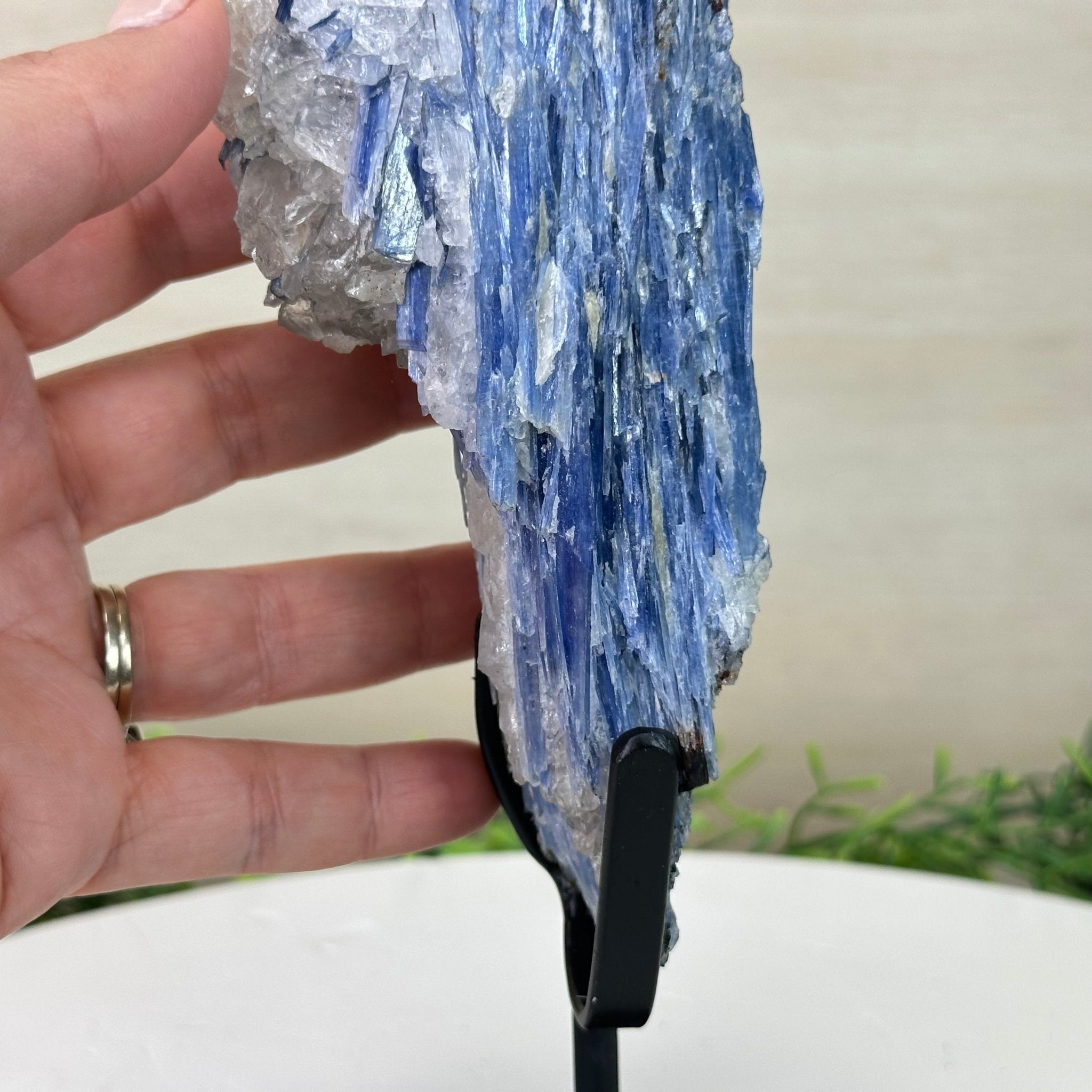 Kyanite Crystal on Metal Stand, 2.3 lbs & 9.8" Tall #6010 - 0013 - Brazil GemsBrazil GemsKyanite Crystal on Metal Stand, 2.3 lbs & 9.8" Tall #6010 - 0013Clusters on Fixed Bases6010 - 0013