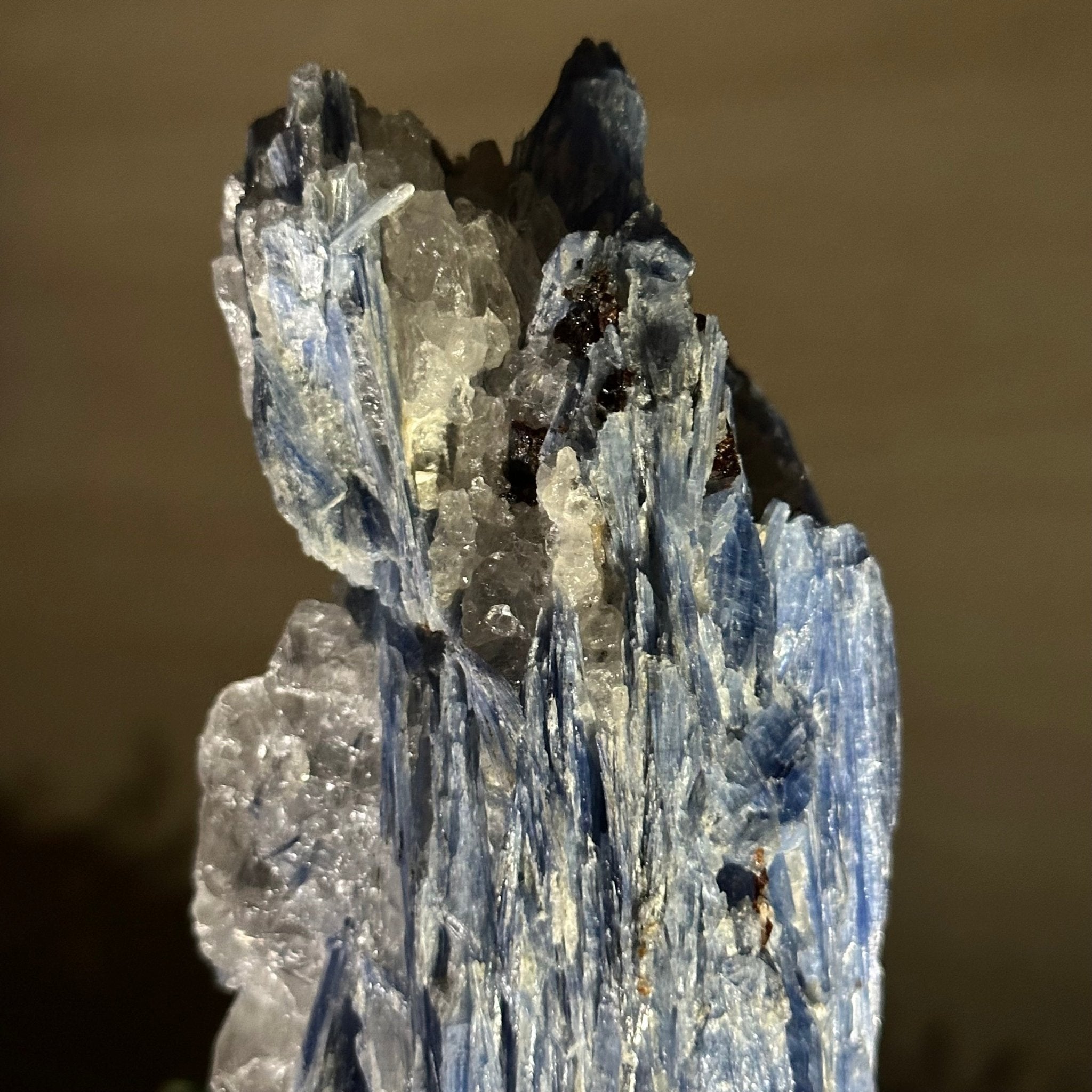 Kyanite Crystal on Metal Stand, 2.3 lbs & 9.8" Tall #6010 - 0013 - Brazil GemsBrazil GemsKyanite Crystal on Metal Stand, 2.3 lbs & 9.8" Tall #6010 - 0013Clusters on Fixed Bases6010 - 0013