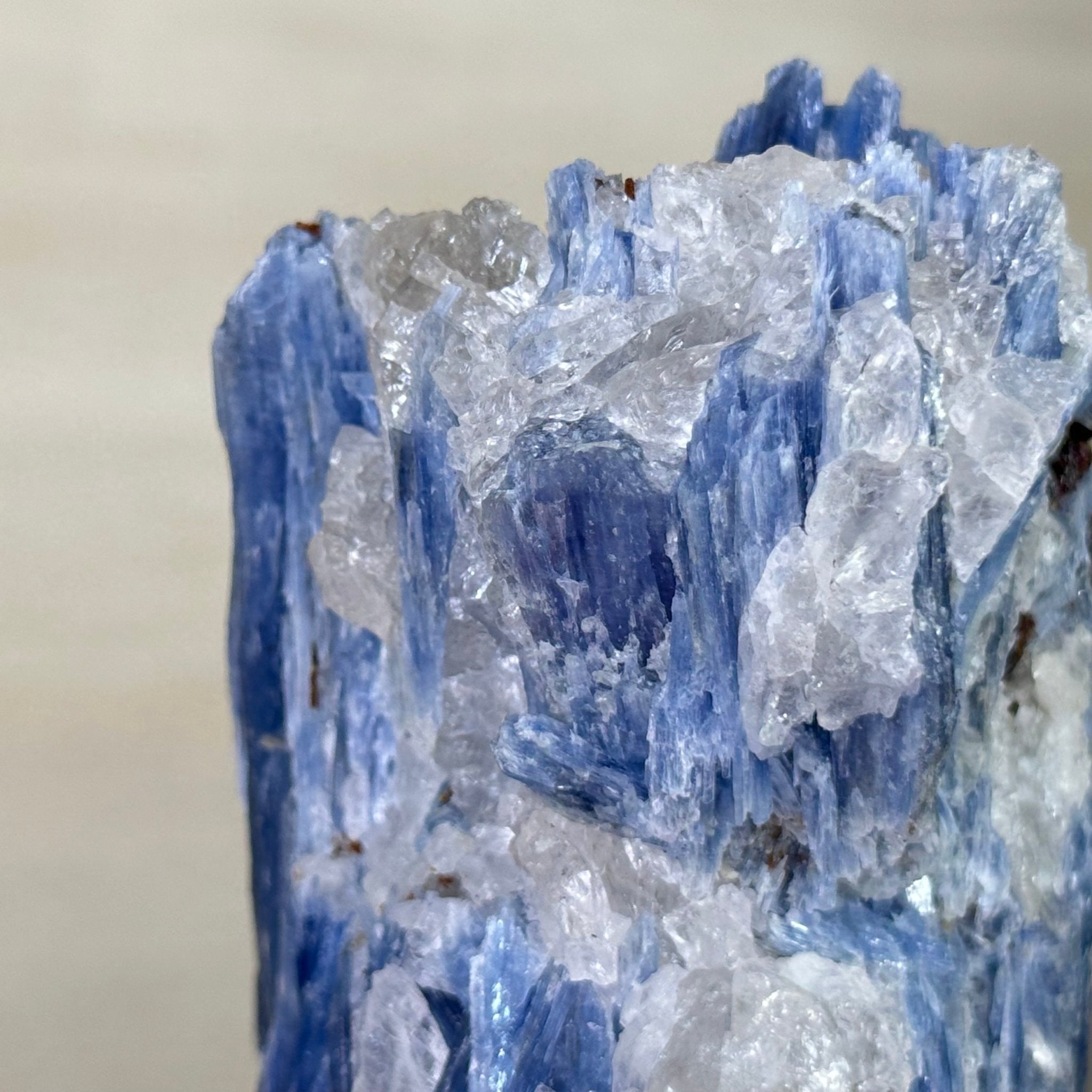 Kyanite Crystal on Metal Stand, 2.3 lbs & 9.8" Tall #6010 - 0013 - Brazil GemsBrazil GemsKyanite Crystal on Metal Stand, 2.3 lbs & 9.8" Tall #6010 - 0013Clusters on Fixed Bases6010 - 0013