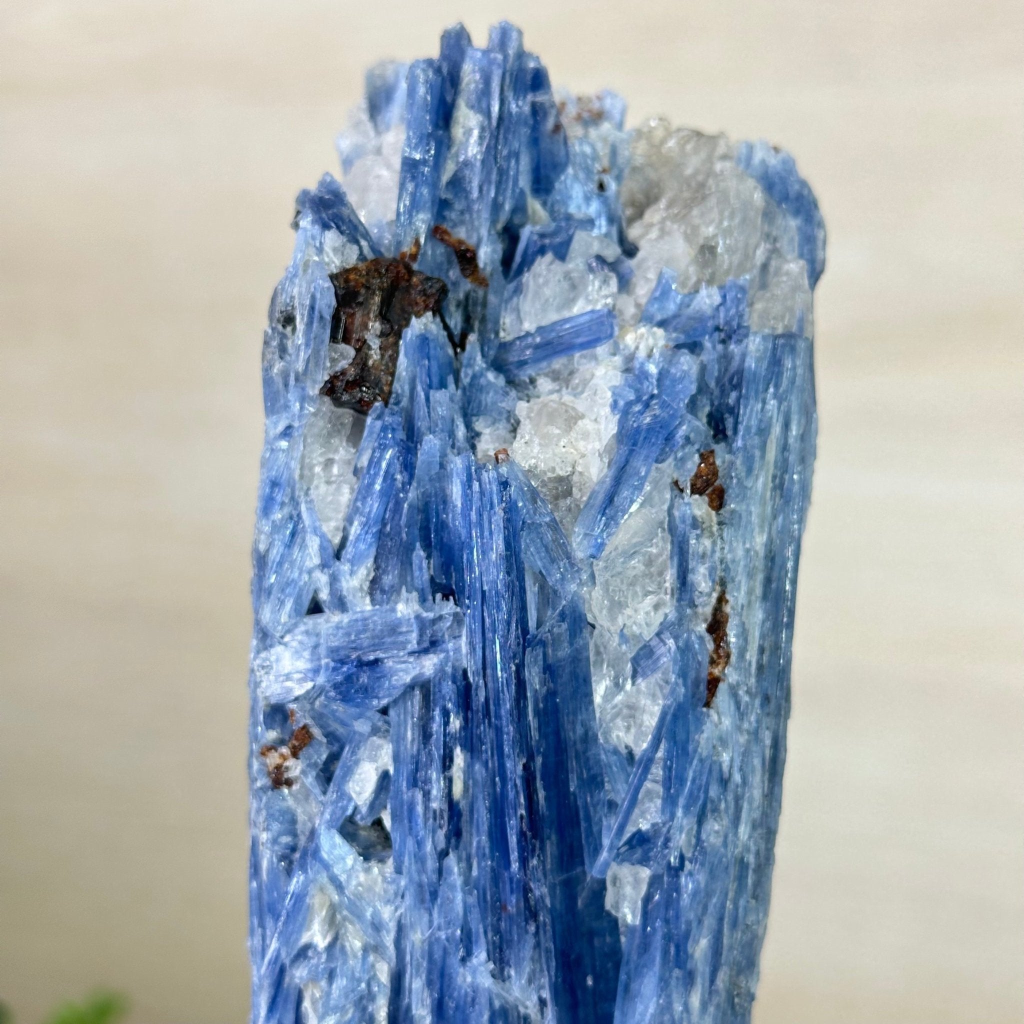 Kyanite Crystal on Metal Stand, 2.3 lbs & 9.8" Tall #6010 - 0013 - Brazil GemsBrazil GemsKyanite Crystal on Metal Stand, 2.3 lbs & 9.8" Tall #6010 - 0013Clusters on Fixed Bases6010 - 0013