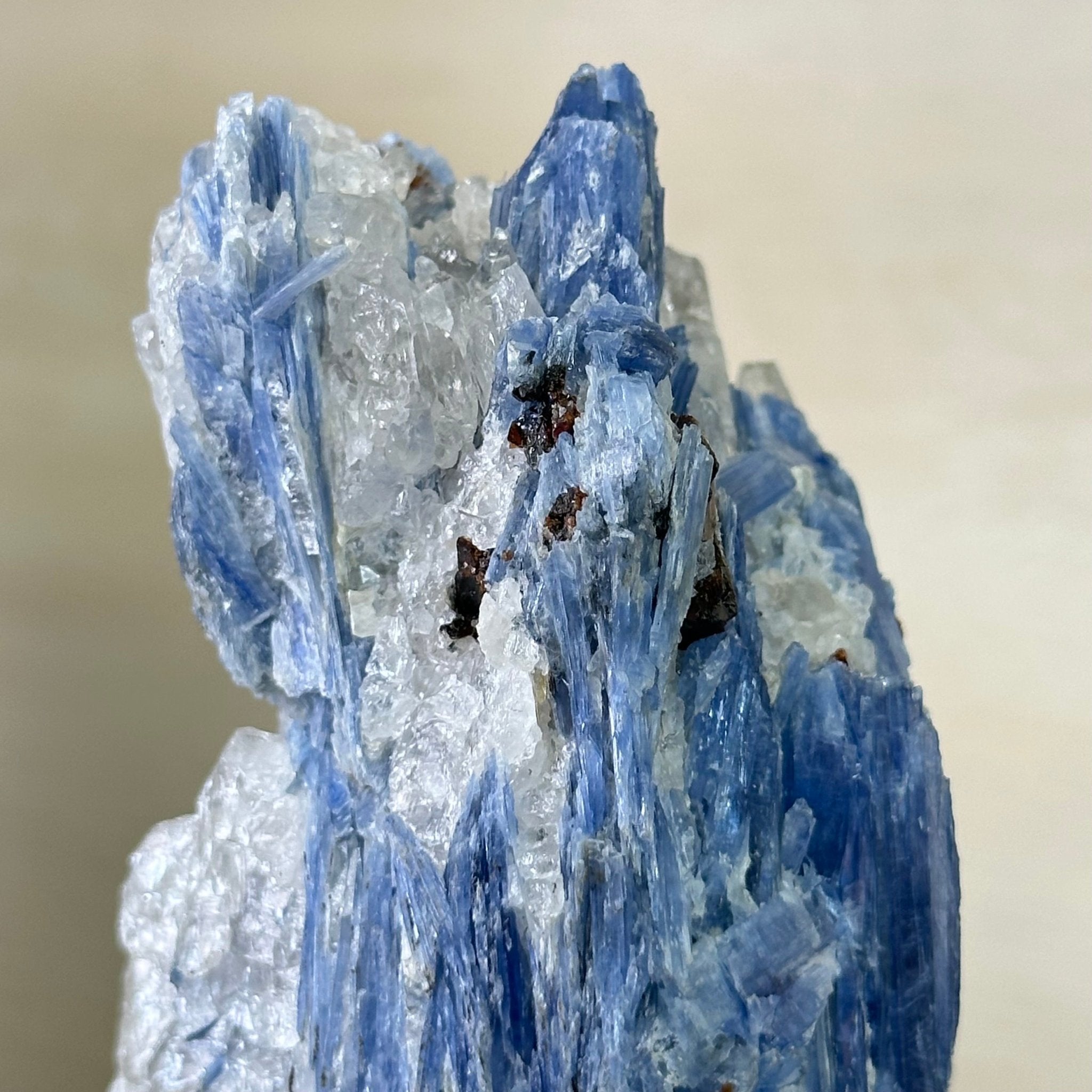 Kyanite Crystal on Metal Stand, 2.3 lbs & 9.8" Tall #6010 - 0013 - Brazil GemsBrazil GemsKyanite Crystal on Metal Stand, 2.3 lbs & 9.8" Tall #6010 - 0013Clusters on Fixed Bases6010 - 0013