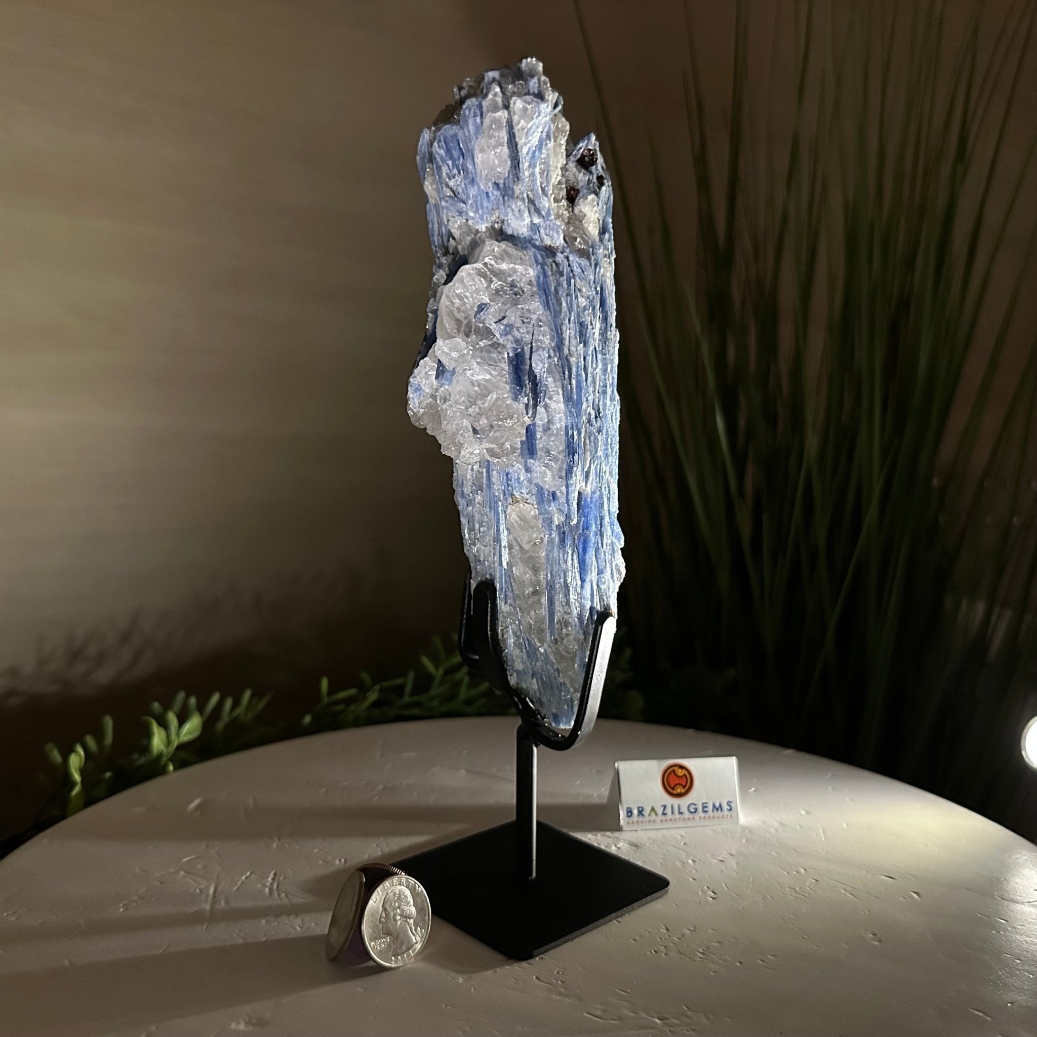 Kyanite Crystal on Metal Stand, 2.3 lbs & 9.8" Tall #6010 - 0013 - Brazil GemsBrazil GemsKyanite Crystal on Metal Stand, 2.3 lbs & 9.8" Tall #6010 - 0013Clusters on Fixed Bases6010 - 0013