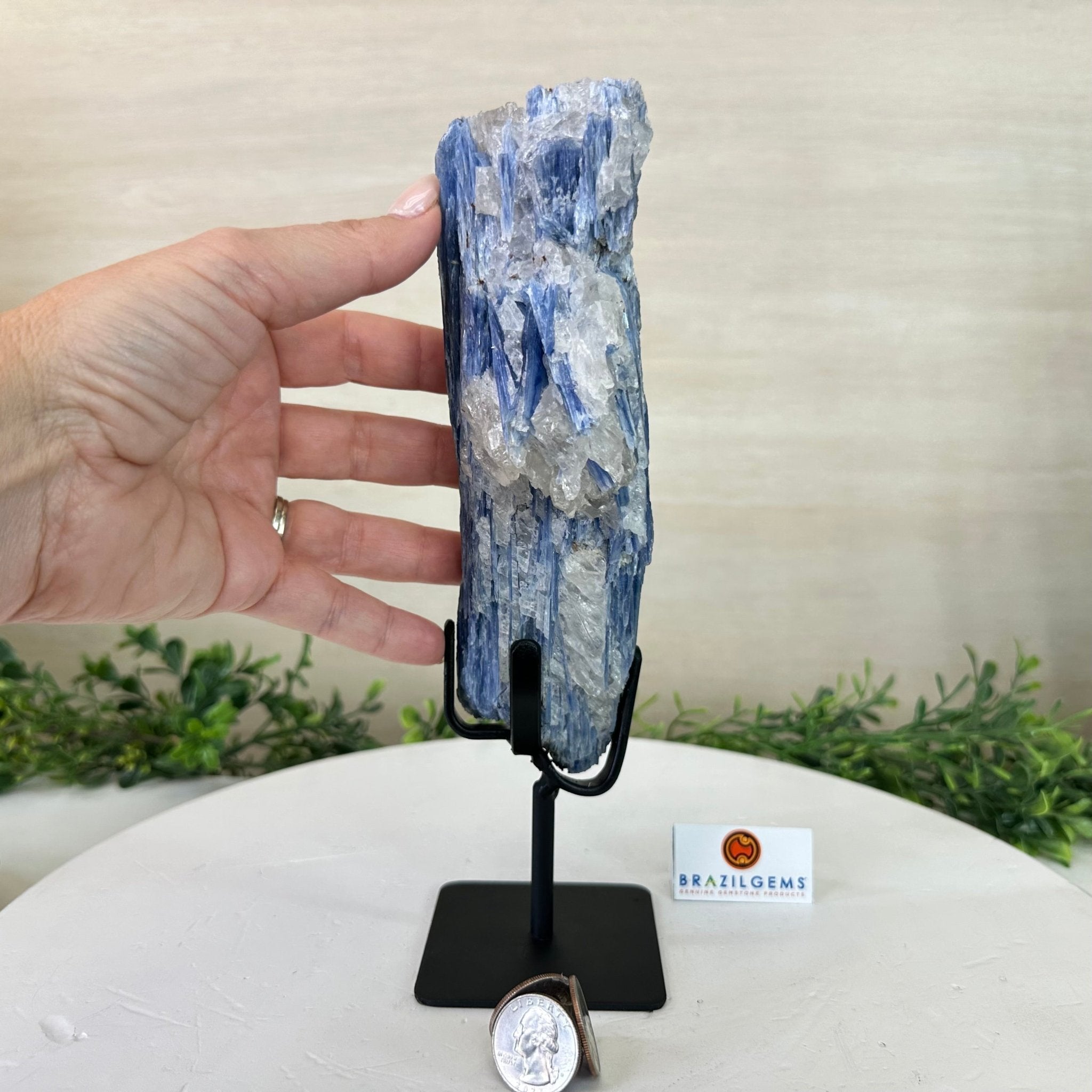 Kyanite Crystal on Metal Stand, 2.3 lbs & 9.8" Tall #6010 - 0013 - Brazil GemsBrazil GemsKyanite Crystal on Metal Stand, 2.3 lbs & 9.8" Tall #6010 - 0013Clusters on Fixed Bases6010 - 0013