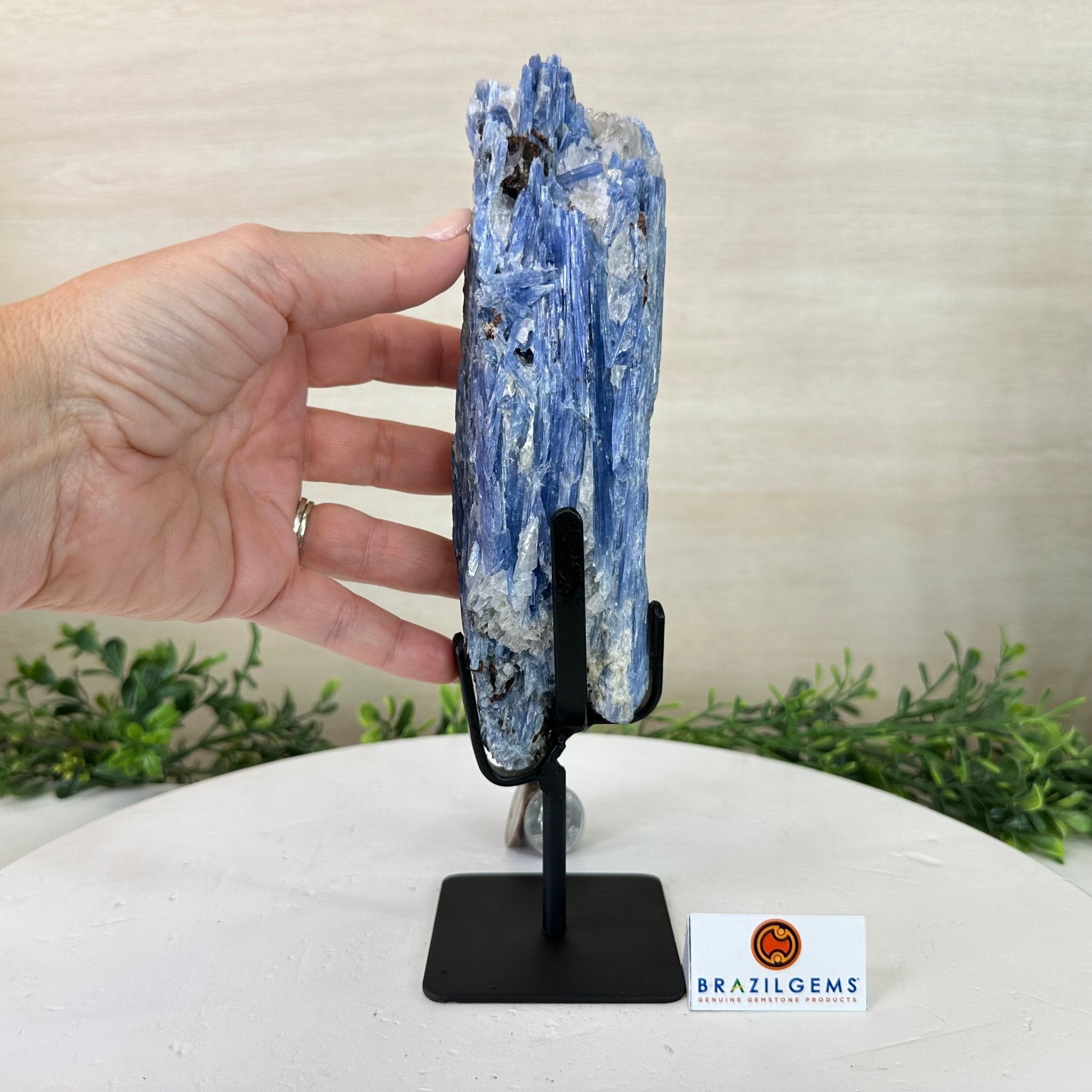 Kyanite Crystal on Metal Stand, 2.3 lbs & 9.8" Tall #6010 - 0013 - Brazil GemsBrazil GemsKyanite Crystal on Metal Stand, 2.3 lbs & 9.8" Tall #6010 - 0013Clusters on Fixed Bases6010 - 0013