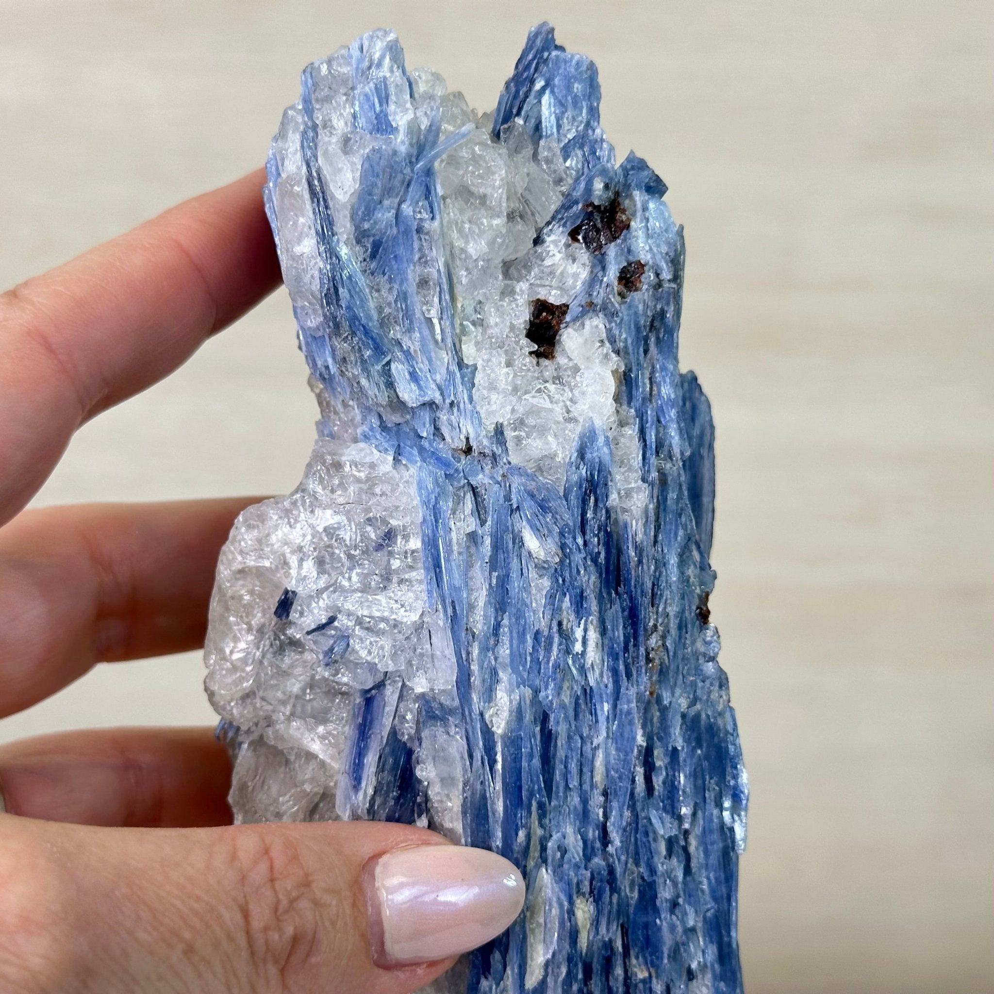 Kyanite Crystal on Metal Stand, 2.3 lbs & 9.8" Tall #6010 - 0013 - Brazil GemsBrazil GemsKyanite Crystal on Metal Stand, 2.3 lbs & 9.8" Tall #6010 - 0013Clusters on Fixed Bases6010 - 0013