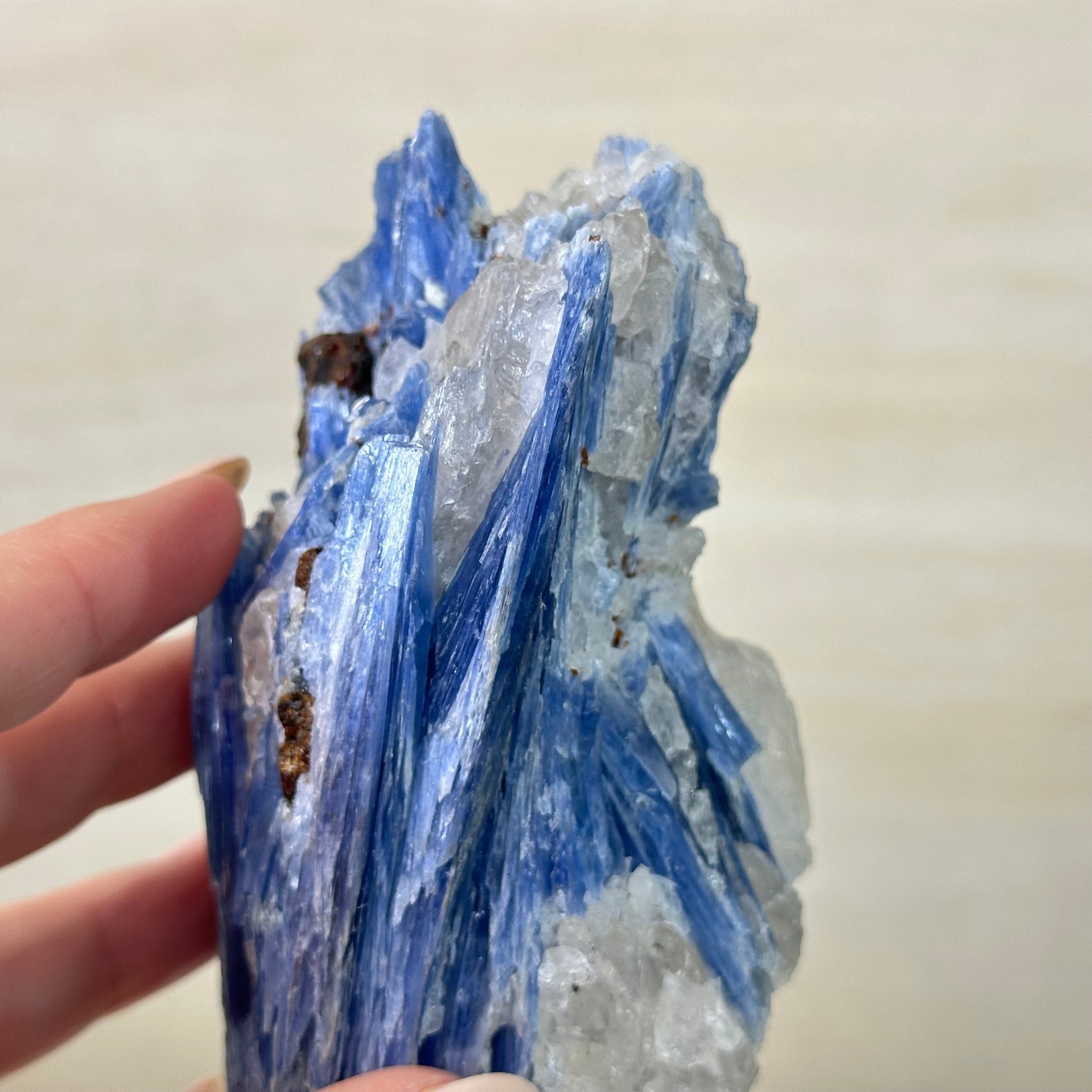 Kyanite Crystal on Metal Stand, 2.3 lbs & 9.8" Tall #6010 - 0013 - Brazil GemsBrazil GemsKyanite Crystal on Metal Stand, 2.3 lbs & 9.8" Tall #6010 - 0013Clusters on Fixed Bases6010 - 0013