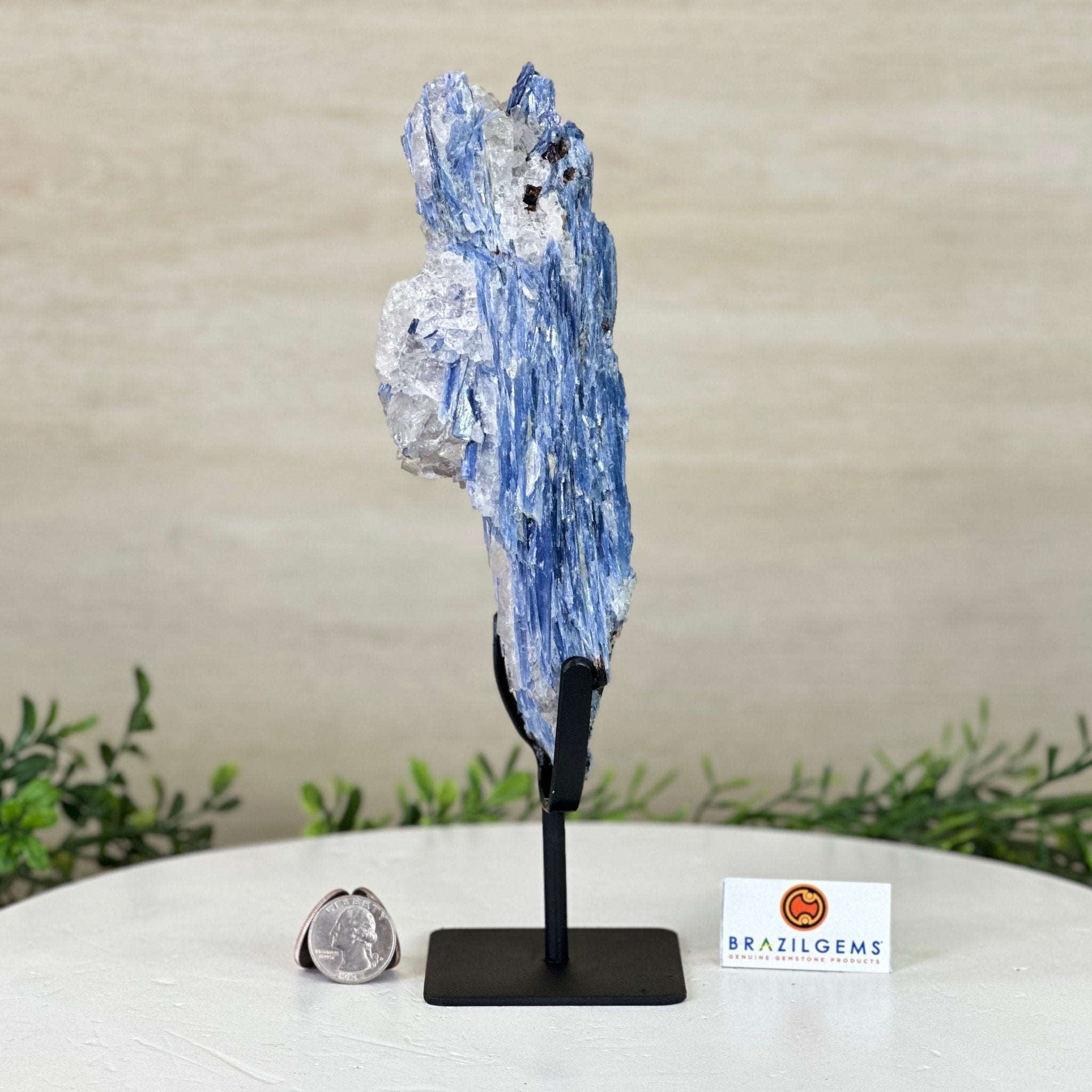 Kyanite Crystal on Metal Stand, 2.3 lbs & 9.8" Tall #6010 - 0013 - Brazil GemsBrazil GemsKyanite Crystal on Metal Stand, 2.3 lbs & 9.8" Tall #6010 - 0013Clusters on Fixed Bases6010 - 0013