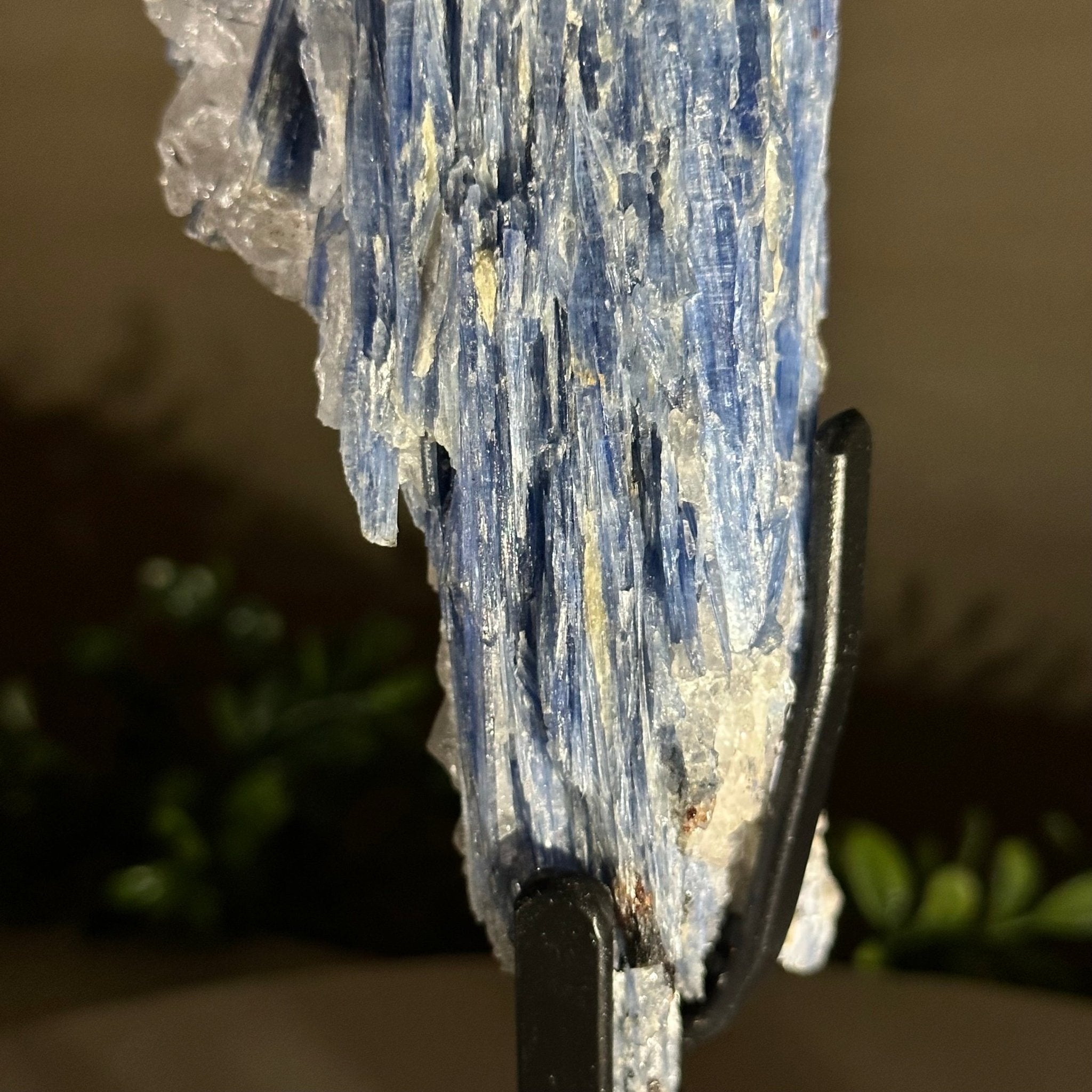 Kyanite Crystal on Metal Stand, 2.3 lbs & 9.8" Tall #6010 - 0013 - Brazil GemsBrazil GemsKyanite Crystal on Metal Stand, 2.3 lbs & 9.8" Tall #6010 - 0013Clusters on Fixed Bases6010 - 0013