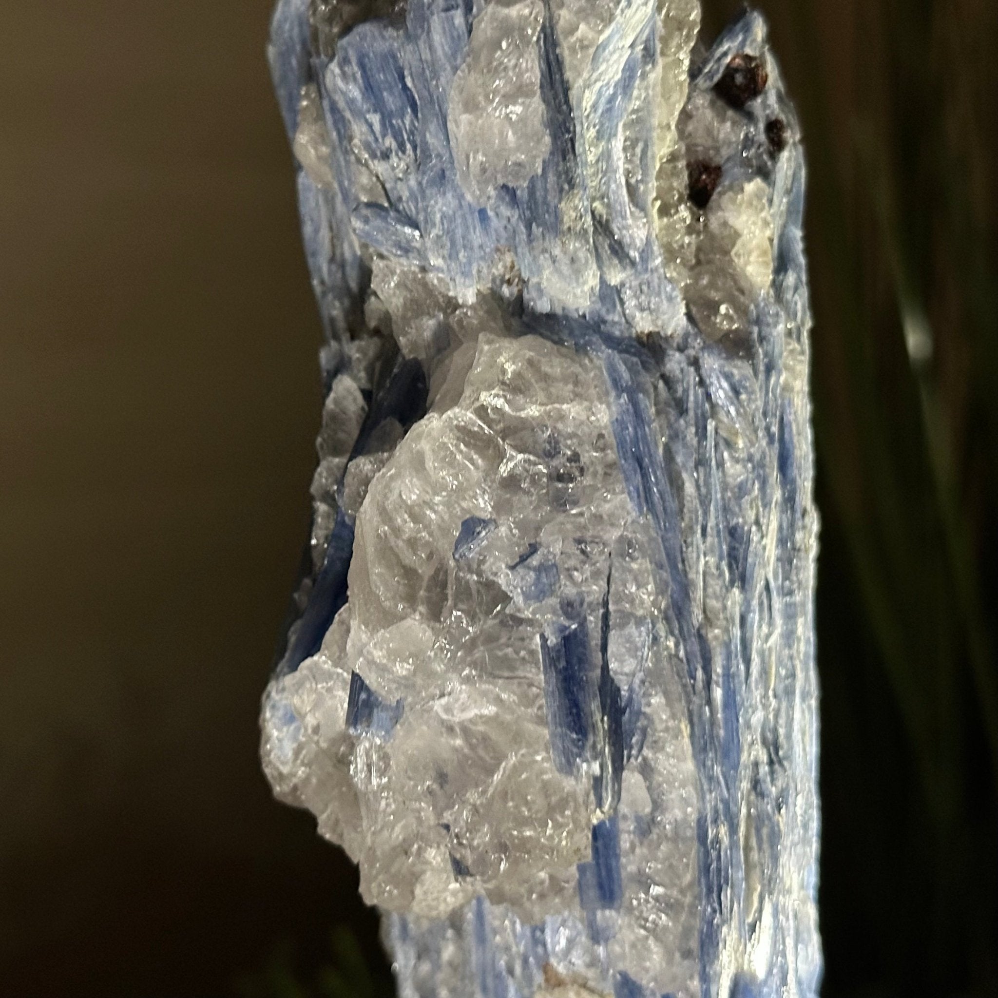 Kyanite Crystal on Metal Stand, 2.3 lbs & 9.8" Tall #6010 - 0013 - Brazil GemsBrazil GemsKyanite Crystal on Metal Stand, 2.3 lbs & 9.8" Tall #6010 - 0013Clusters on Fixed Bases6010 - 0013