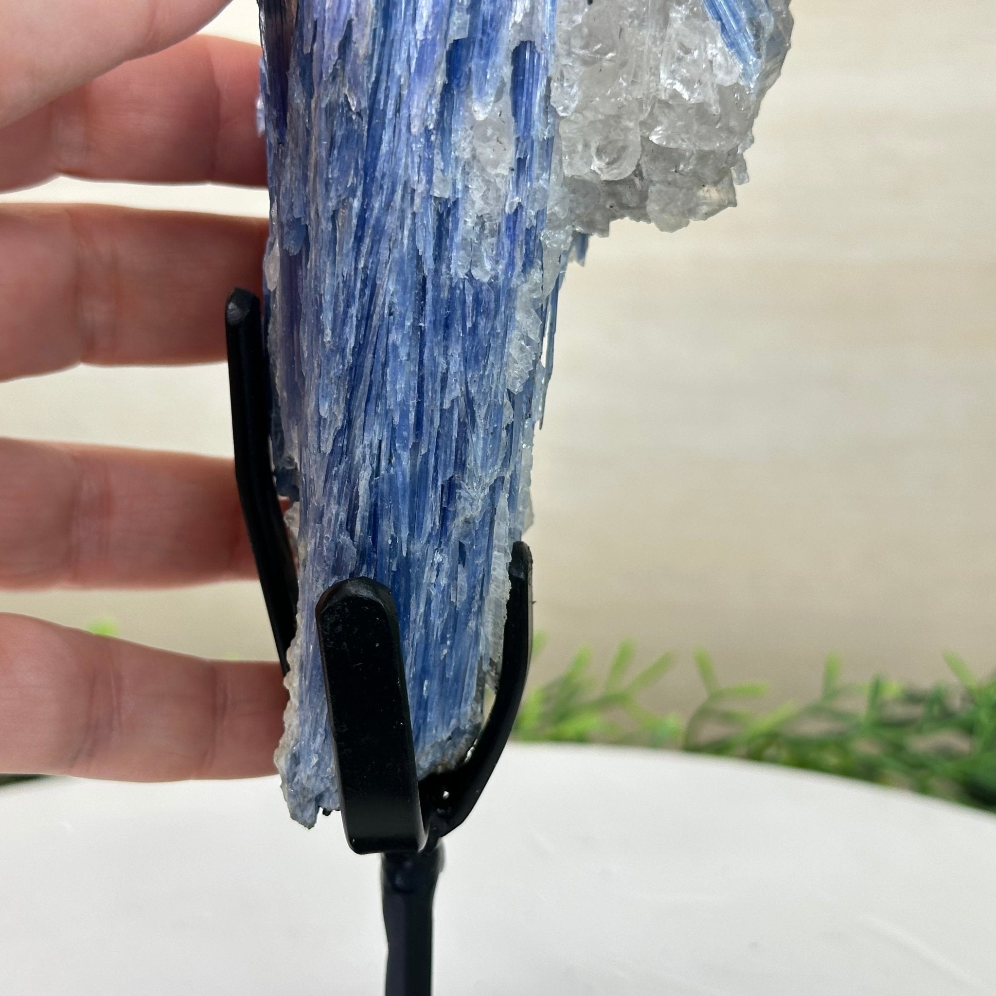 Kyanite Crystal on Metal Stand, 2.3 lbs & 9.8" Tall #6010 - 0013 - Brazil GemsBrazil GemsKyanite Crystal on Metal Stand, 2.3 lbs & 9.8" Tall #6010 - 0013Clusters on Fixed Bases6010 - 0013