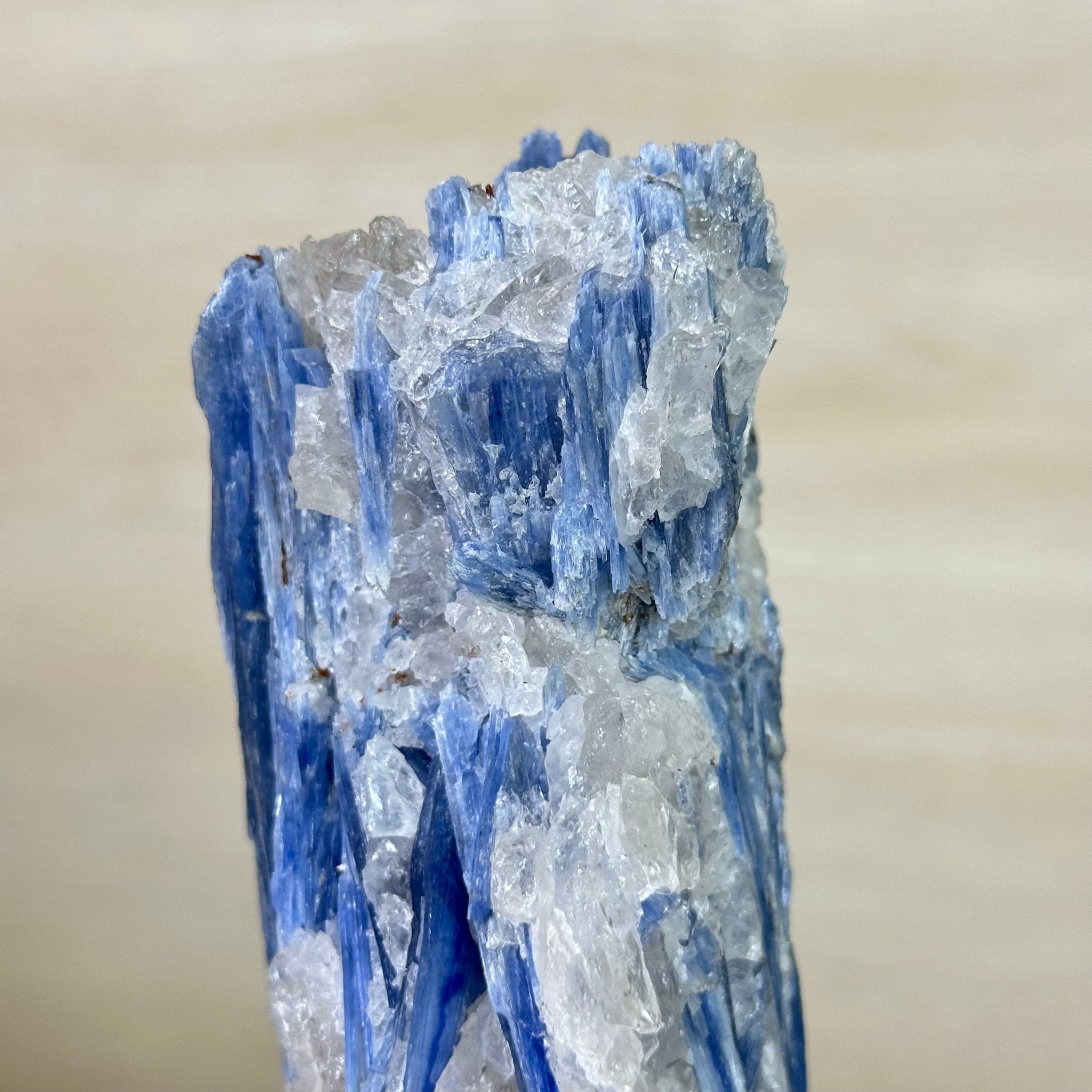 Kyanite Crystal on Metal Stand, 2.3 lbs & 9.8" Tall #6010 - 0013 - Brazil GemsBrazil GemsKyanite Crystal on Metal Stand, 2.3 lbs & 9.8" Tall #6010 - 0013Clusters on Fixed Bases6010 - 0013