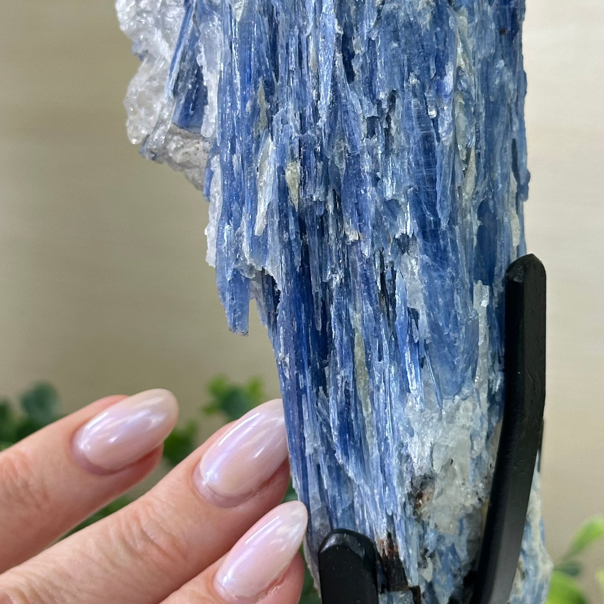 Kyanite Crystal on Metal Stand, 2.3 lbs & 9.8" Tall #6010 - 0013 - Brazil GemsBrazil GemsKyanite Crystal on Metal Stand, 2.3 lbs & 9.8" Tall #6010 - 0013Clusters on Fixed Bases6010 - 0013