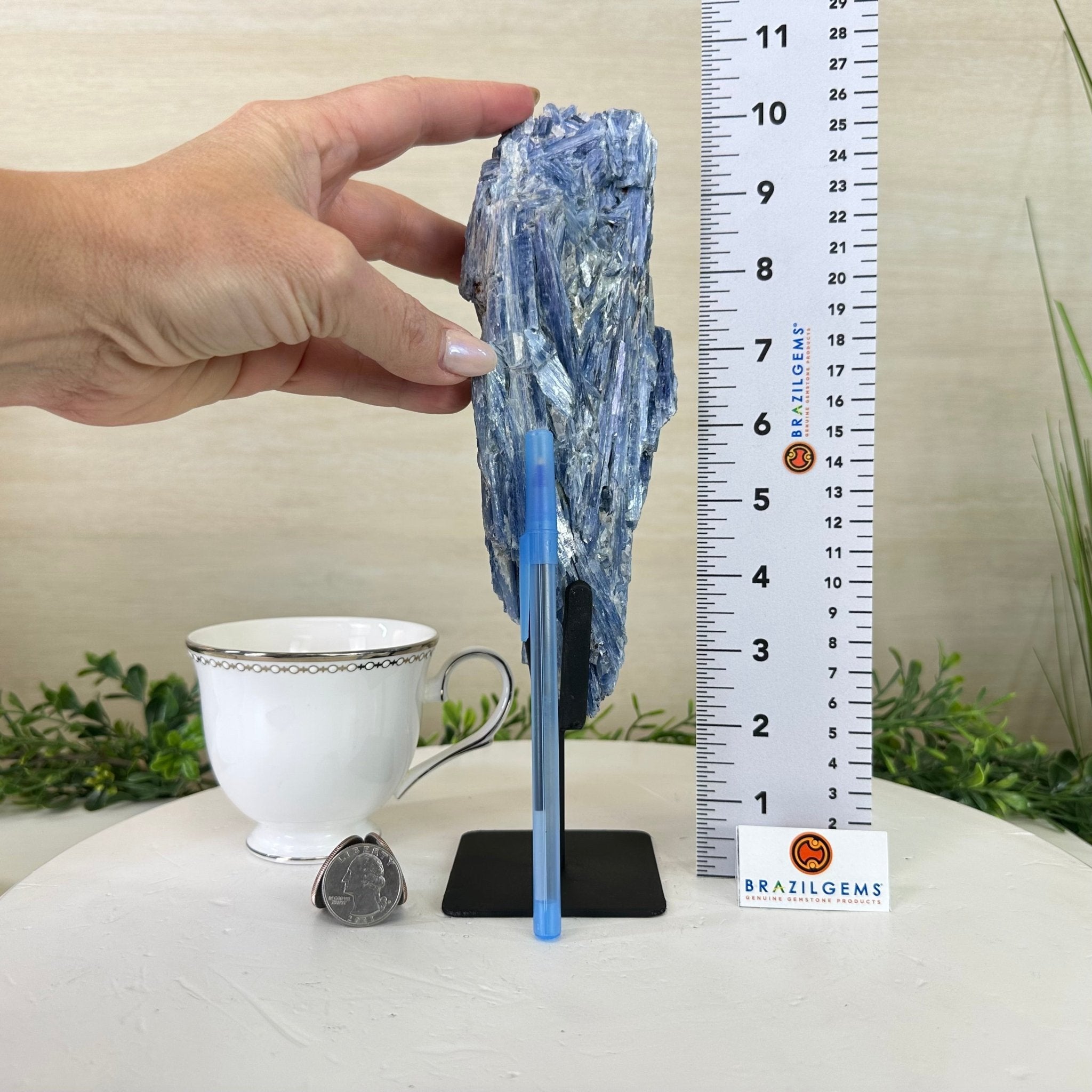 Kyanite Crystal on Metal Stand, 2.5 lbs & 10.1" Tall #6010 - 0016 - Brazil GemsBrazil GemsKyanite Crystal on Metal Stand, 2.5 lbs & 10.1" Tall #6010 - 0016Clusters on Fixed Bases6010 - 0016