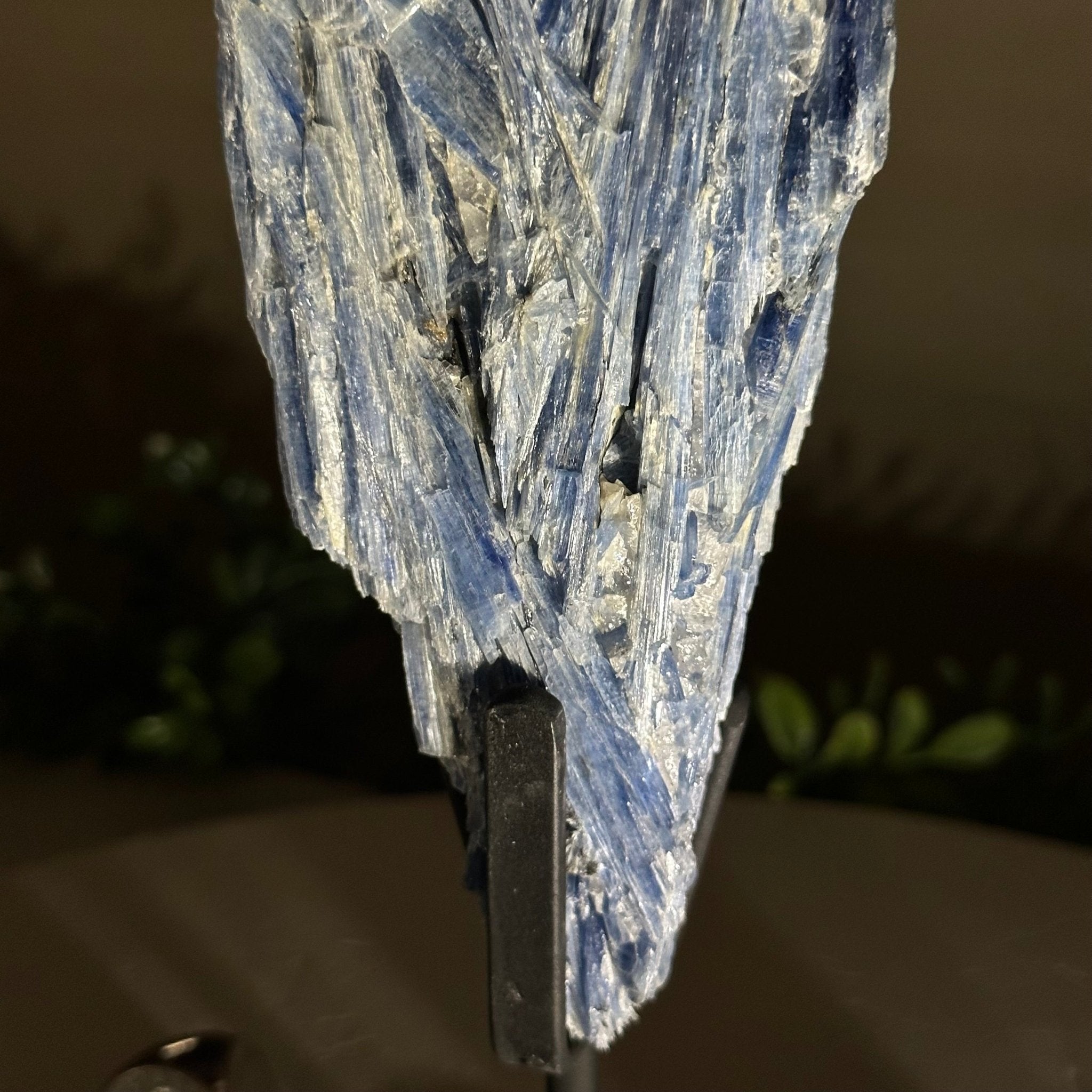 Kyanite Crystal on Metal Stand, 2.5 lbs & 10.1" Tall #6010 - 0016 - Brazil GemsBrazil GemsKyanite Crystal on Metal Stand, 2.5 lbs & 10.1" Tall #6010 - 0016Clusters on Fixed Bases6010 - 0016