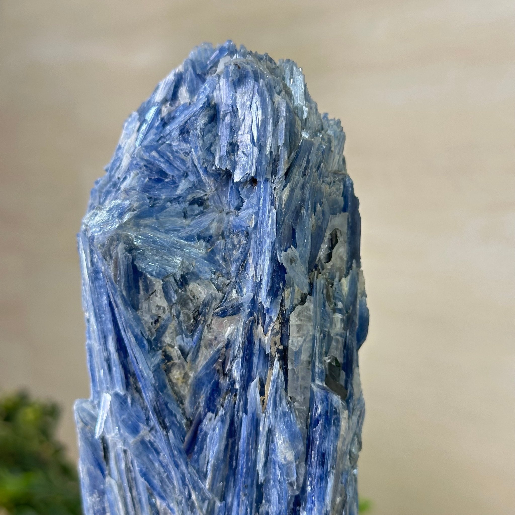 Kyanite Crystal on Metal Stand, 2.5 lbs & 10.1" Tall #6010 - 0016 - Brazil GemsBrazil GemsKyanite Crystal on Metal Stand, 2.5 lbs & 10.1" Tall #6010 - 0016Clusters on Fixed Bases6010 - 0016