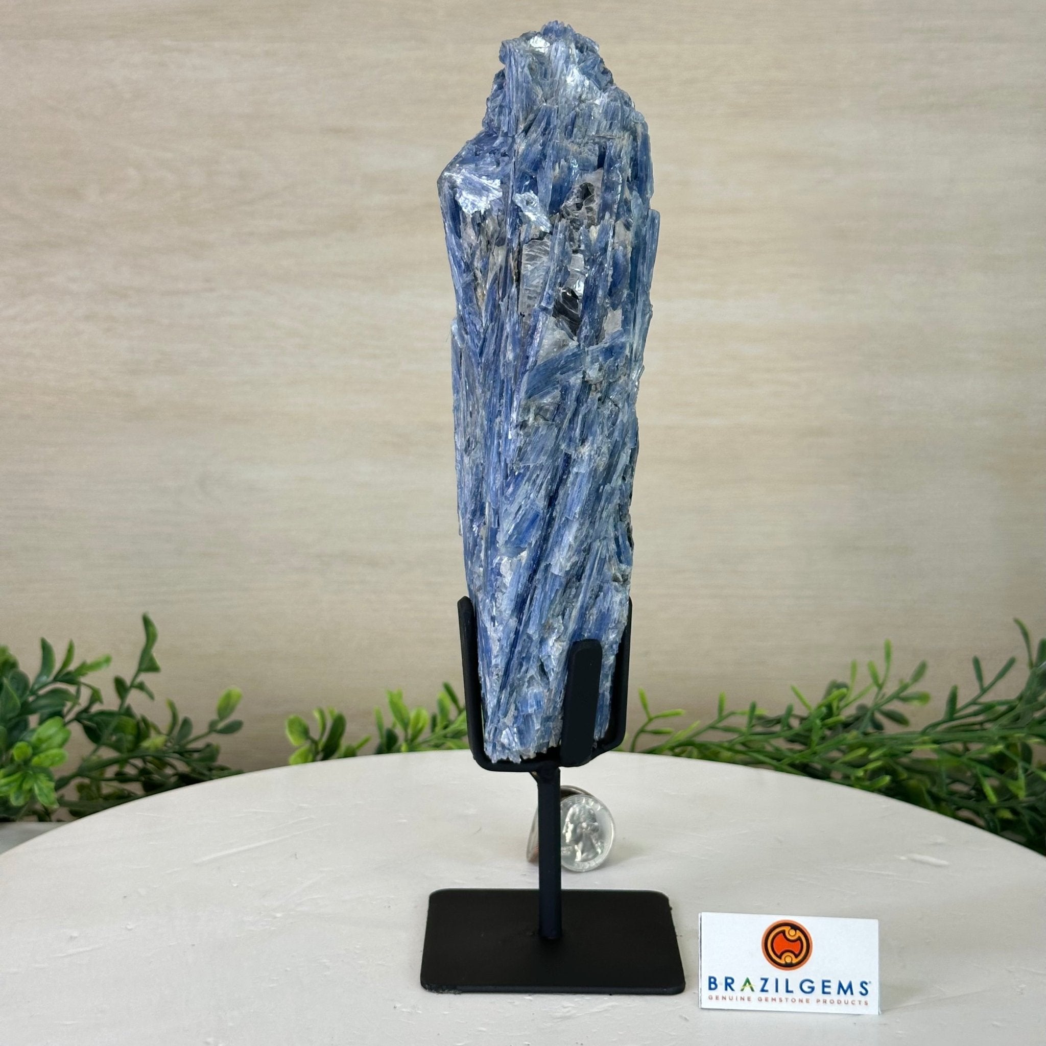 Kyanite Crystal on Metal Stand, 2.5 lbs & 10.1" Tall #6010 - 0016 - Brazil GemsBrazil GemsKyanite Crystal on Metal Stand, 2.5 lbs & 10.1" Tall #6010 - 0016Clusters on Fixed Bases6010 - 0016