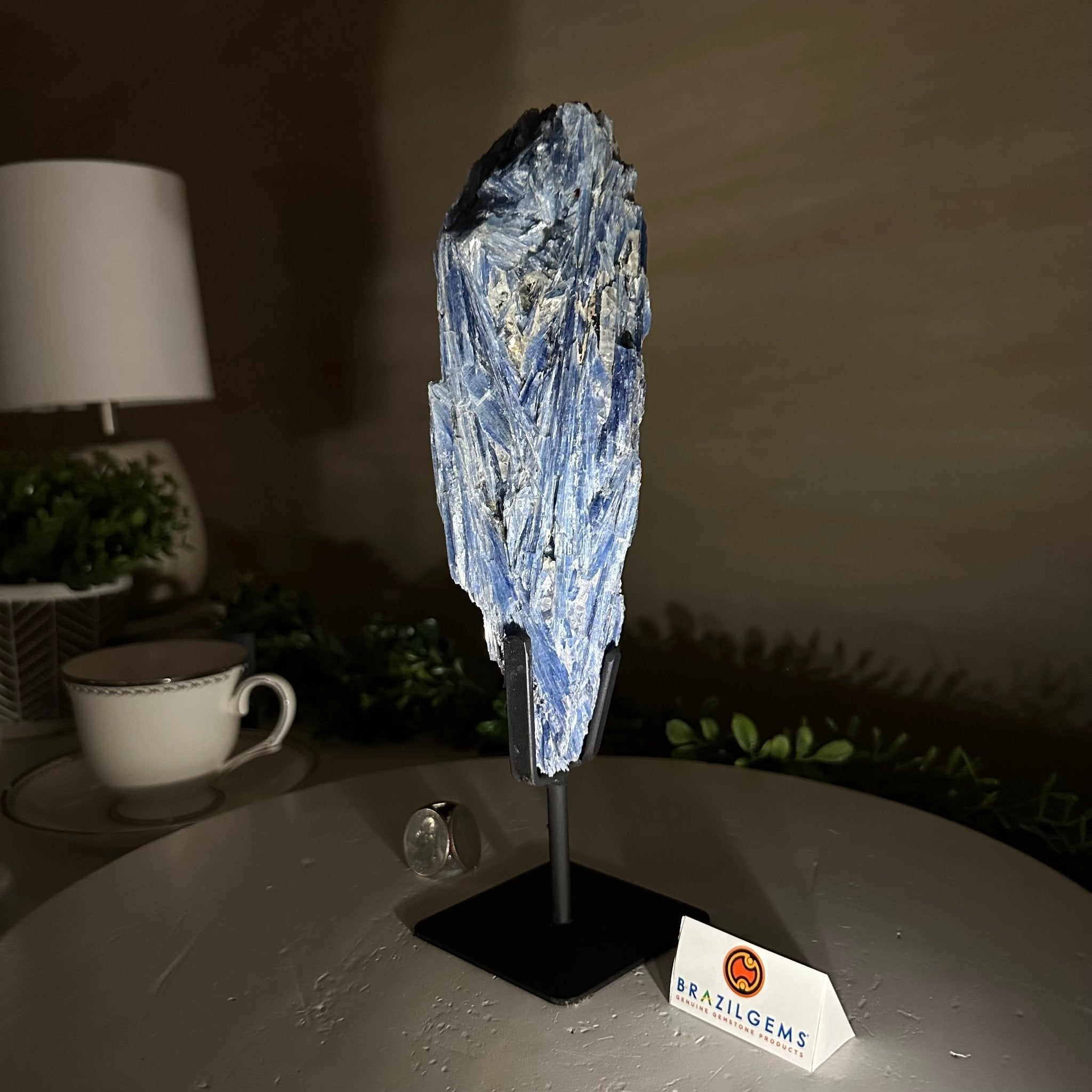 Kyanite Crystal on Metal Stand, 2.5 lbs & 10.1" Tall #6010 - 0016 - Brazil GemsBrazil GemsKyanite Crystal on Metal Stand, 2.5 lbs & 10.1" Tall #6010 - 0016Clusters on Fixed Bases6010 - 0016