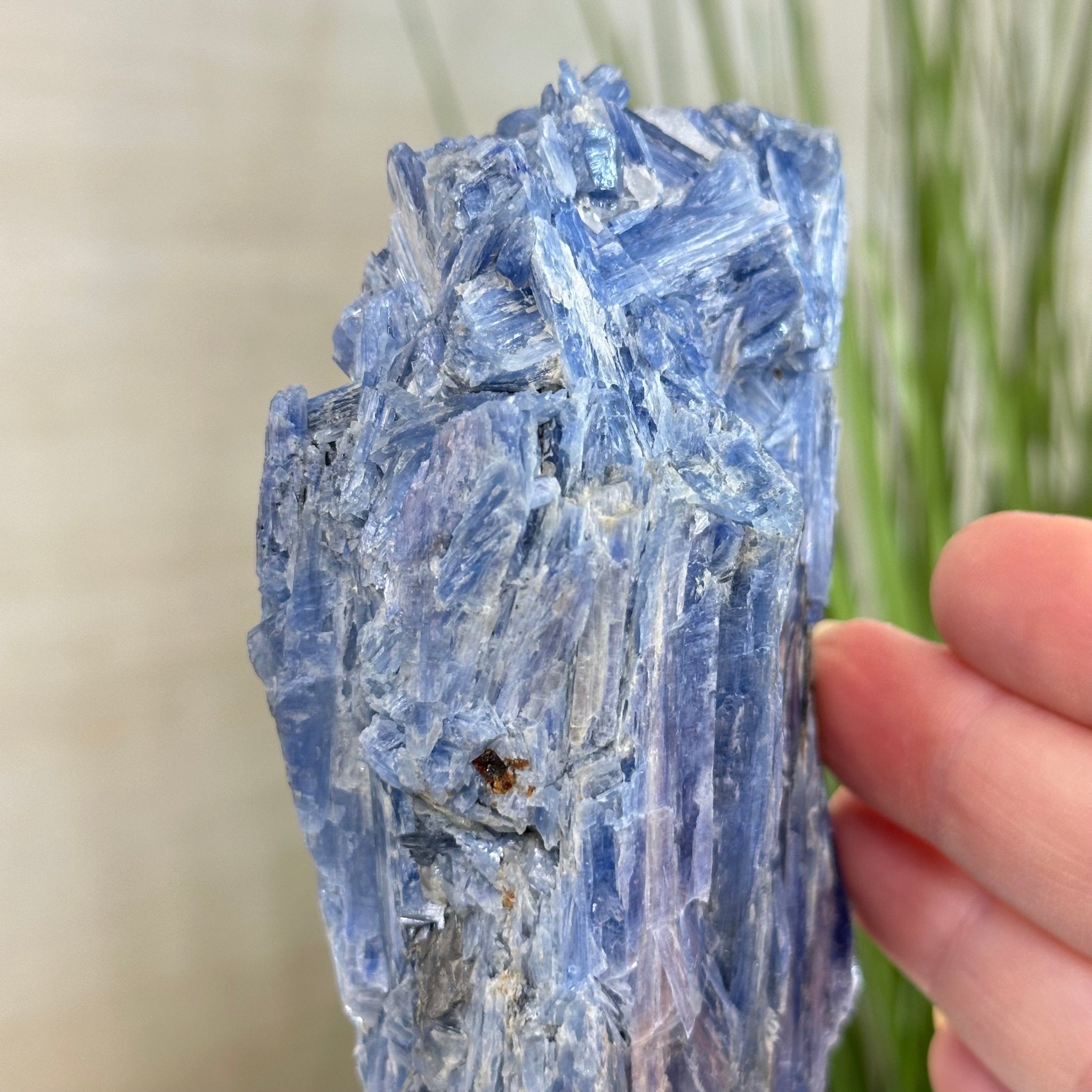 Kyanite Crystal on Metal Stand, 2.5 lbs & 10.1" Tall #6010 - 0016 - Brazil GemsBrazil GemsKyanite Crystal on Metal Stand, 2.5 lbs & 10.1" Tall #6010 - 0016Clusters on Fixed Bases6010 - 0016