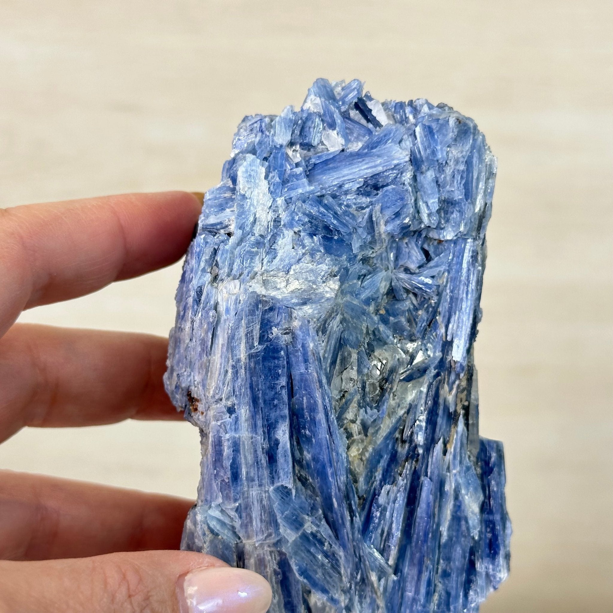 Kyanite Crystal on Metal Stand, 2.5 lbs & 10.1" Tall #6010 - 0016 - Brazil GemsBrazil GemsKyanite Crystal on Metal Stand, 2.5 lbs & 10.1" Tall #6010 - 0016Clusters on Fixed Bases6010 - 0016