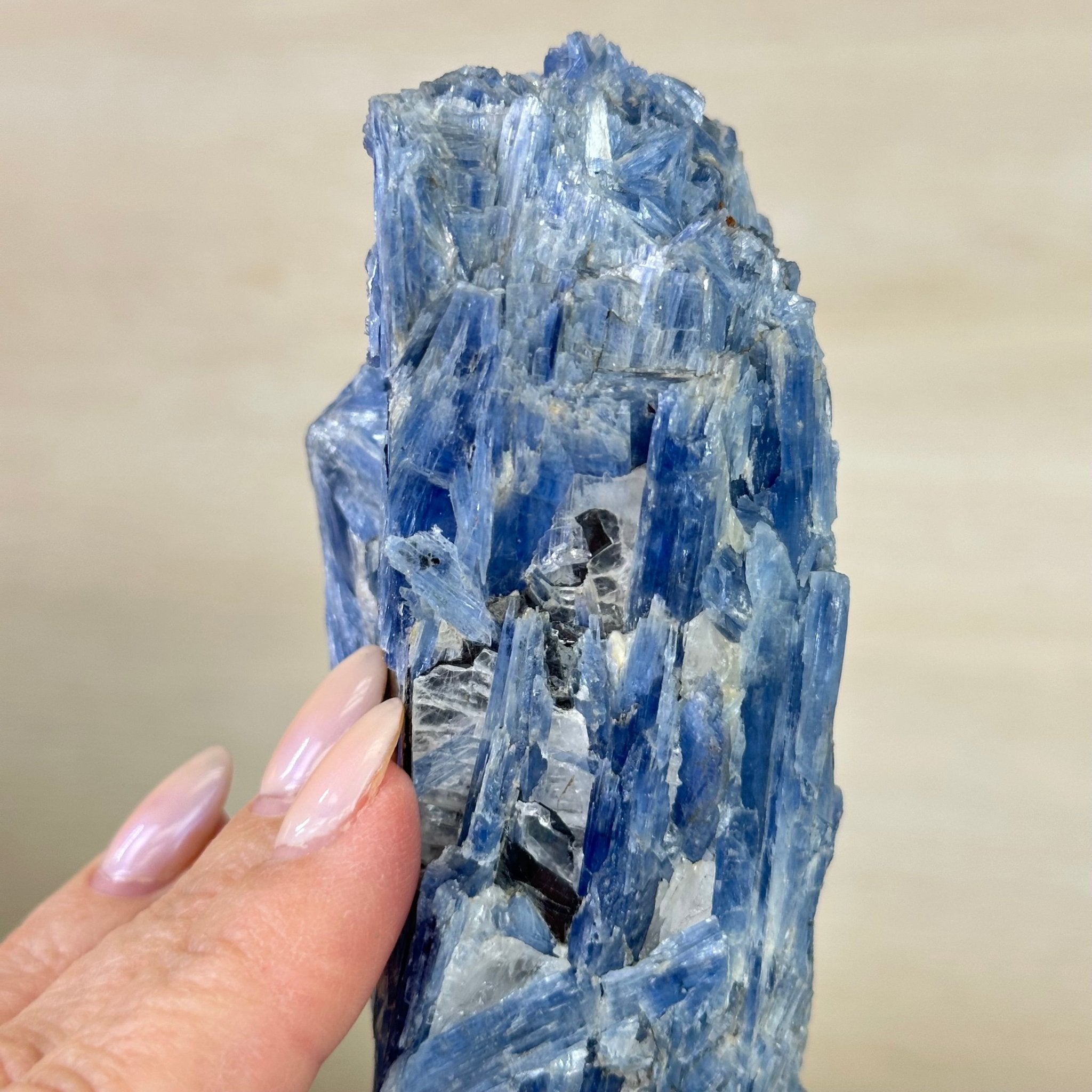 Kyanite Crystal on Metal Stand, 2.5 lbs & 10.1" Tall #6010 - 0016 - Brazil GemsBrazil GemsKyanite Crystal on Metal Stand, 2.5 lbs & 10.1" Tall #6010 - 0016Clusters on Fixed Bases6010 - 0016