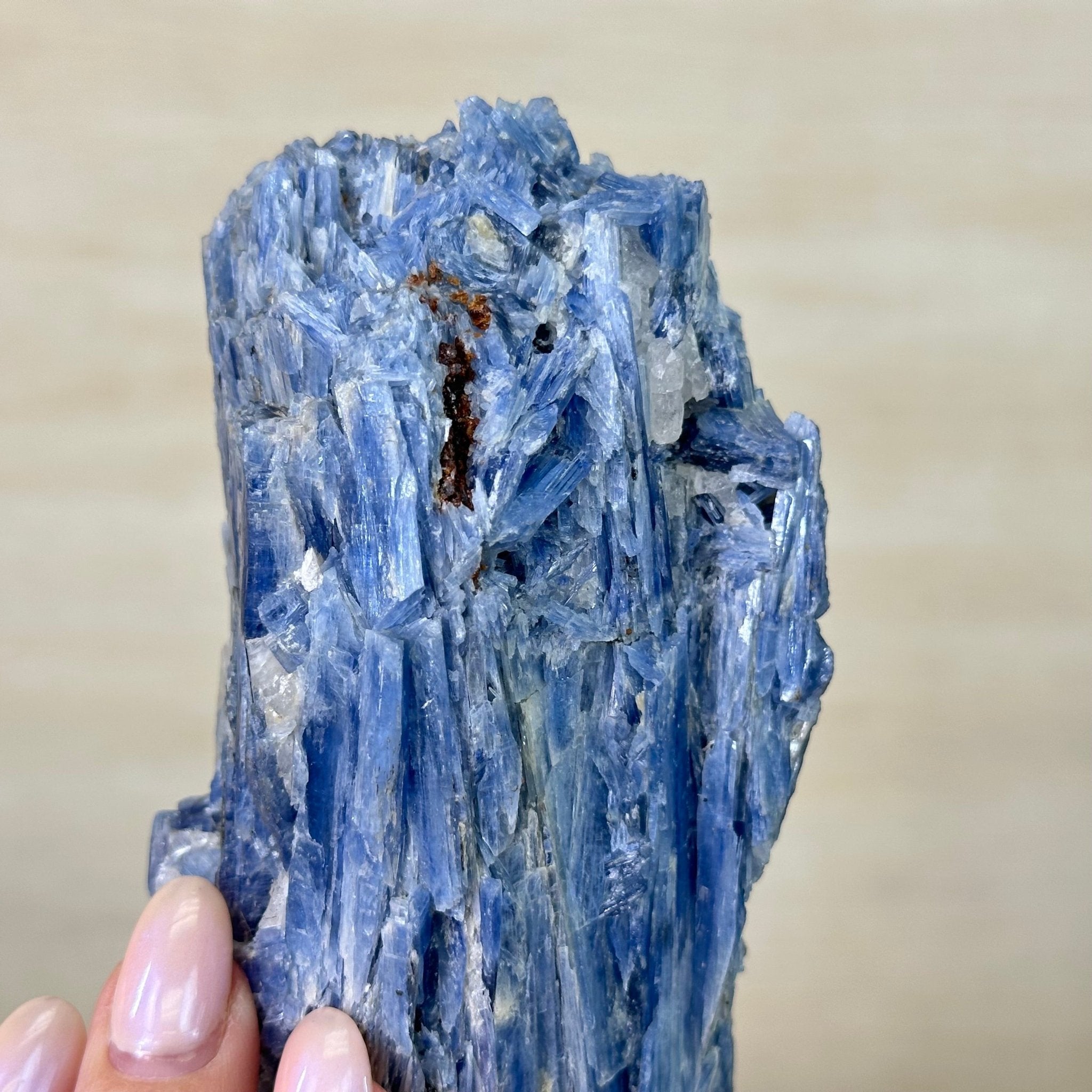 Kyanite Crystal on Metal Stand, 2.5 lbs & 10.1" Tall #6010 - 0016 - Brazil GemsBrazil GemsKyanite Crystal on Metal Stand, 2.5 lbs & 10.1" Tall #6010 - 0016Clusters on Fixed Bases6010 - 0016