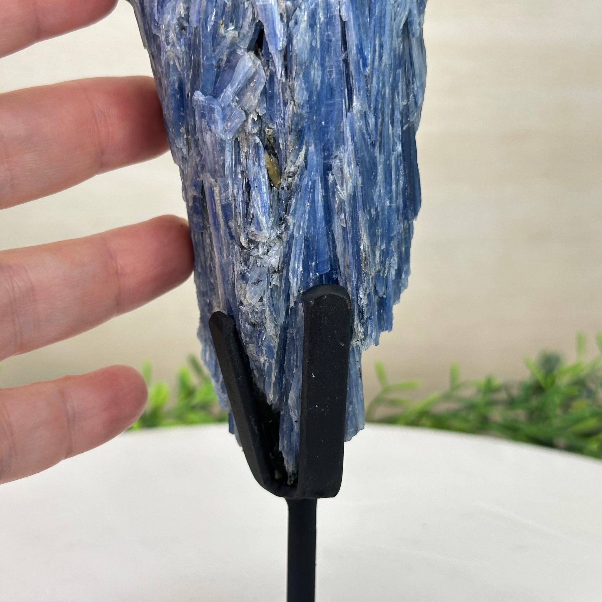 Kyanite Crystal on Metal Stand, 2.5 lbs & 10.1" Tall #6010 - 0016 - Brazil GemsBrazil GemsKyanite Crystal on Metal Stand, 2.5 lbs & 10.1" Tall #6010 - 0016Clusters on Fixed Bases6010 - 0016