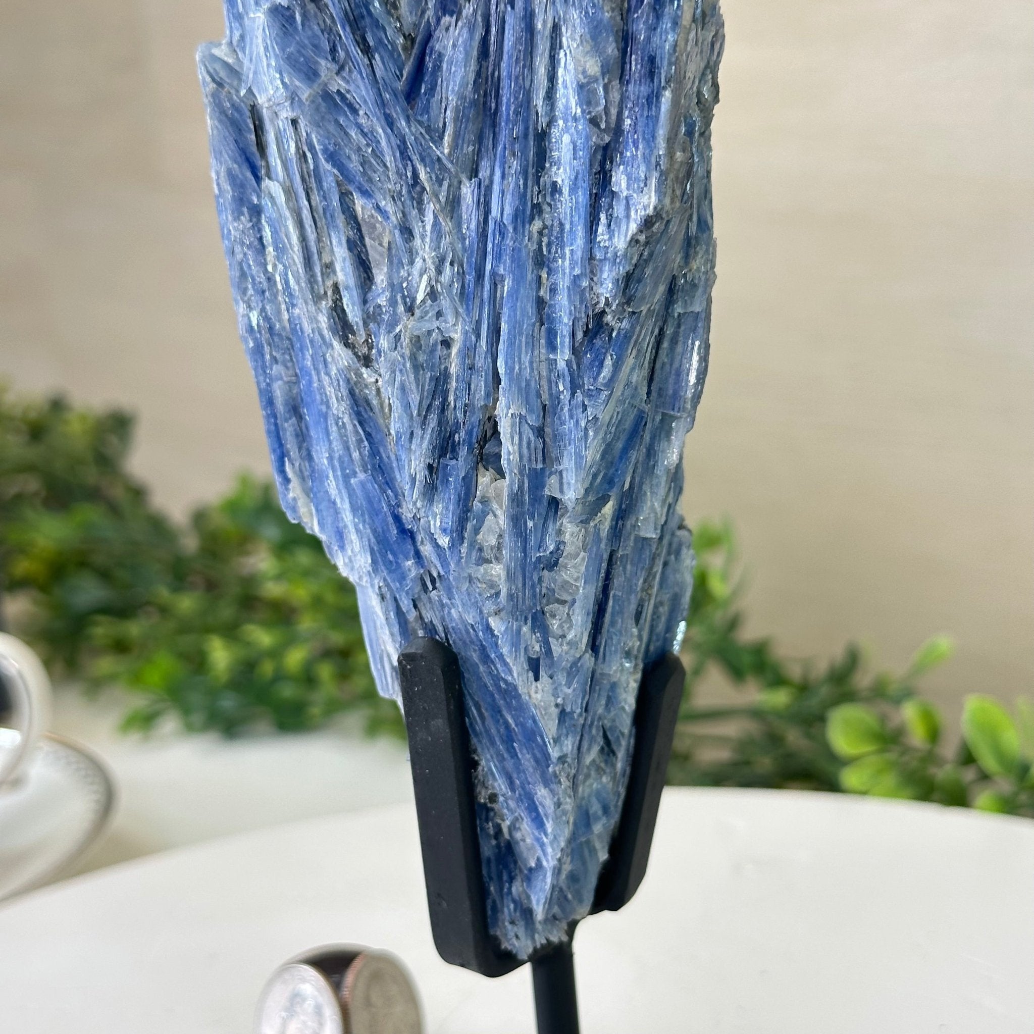 Kyanite Crystal on Metal Stand, 2.5 lbs & 10.1" Tall #6010 - 0016 - Brazil GemsBrazil GemsKyanite Crystal on Metal Stand, 2.5 lbs & 10.1" Tall #6010 - 0016Clusters on Fixed Bases6010 - 0016