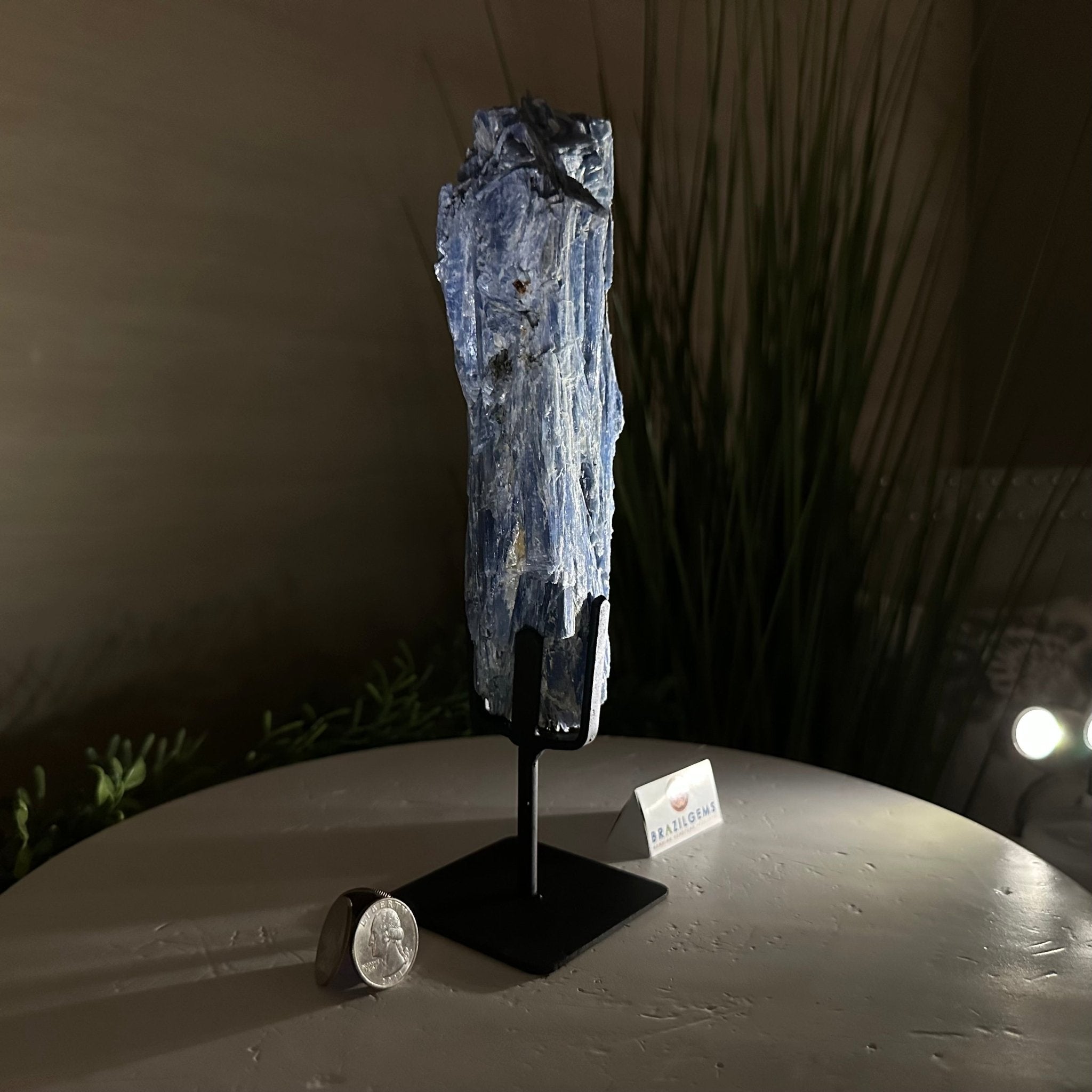 Kyanite Crystal on Metal Stand, 2.5 lbs & 10.1" Tall #6010 - 0016 - Brazil GemsBrazil GemsKyanite Crystal on Metal Stand, 2.5 lbs & 10.1" Tall #6010 - 0016Clusters on Fixed Bases6010 - 0016