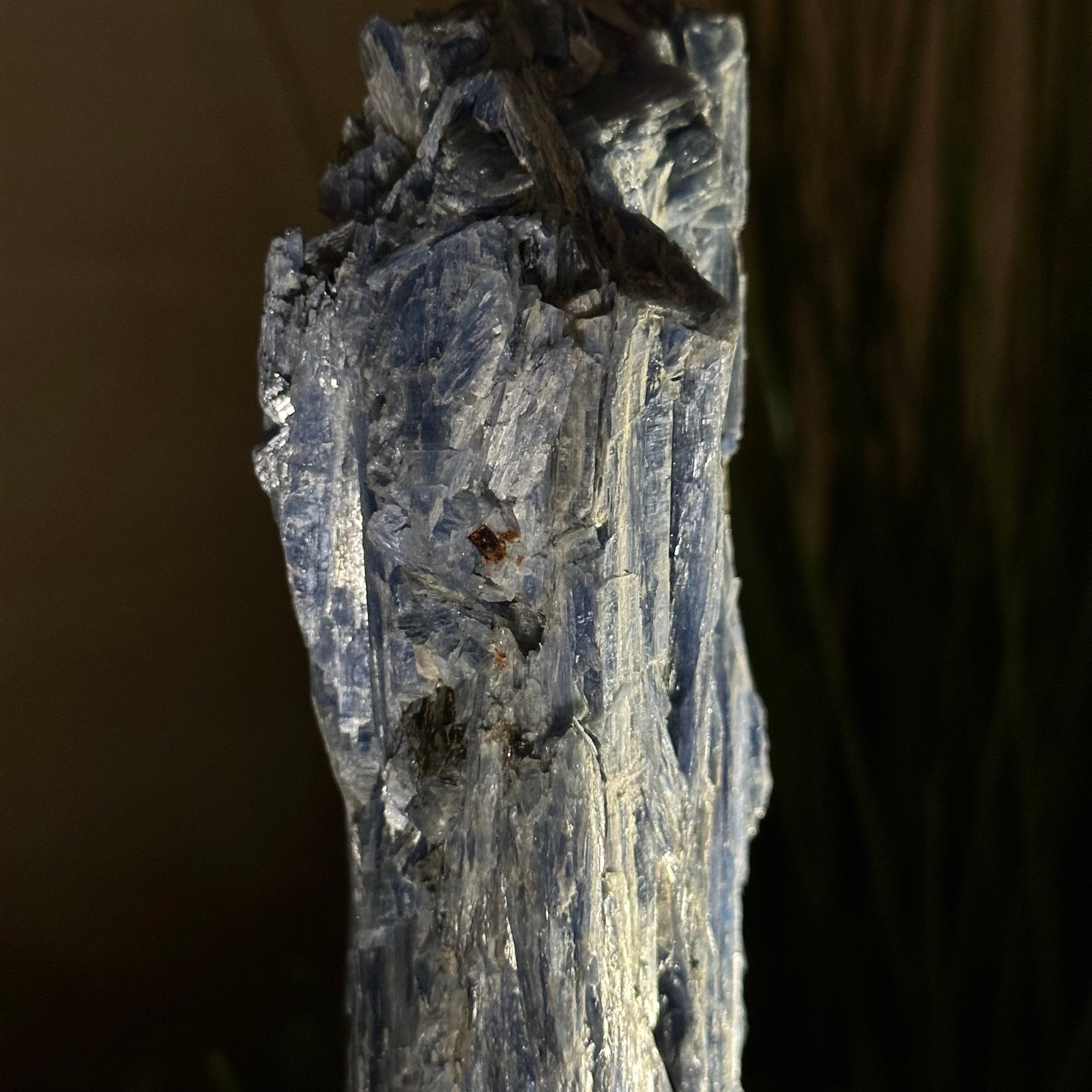 Kyanite Crystal on Metal Stand, 2.5 lbs & 10.1" Tall #6010 - 0016 - Brazil GemsBrazil GemsKyanite Crystal on Metal Stand, 2.5 lbs & 10.1" Tall #6010 - 0016Clusters on Fixed Bases6010 - 0016