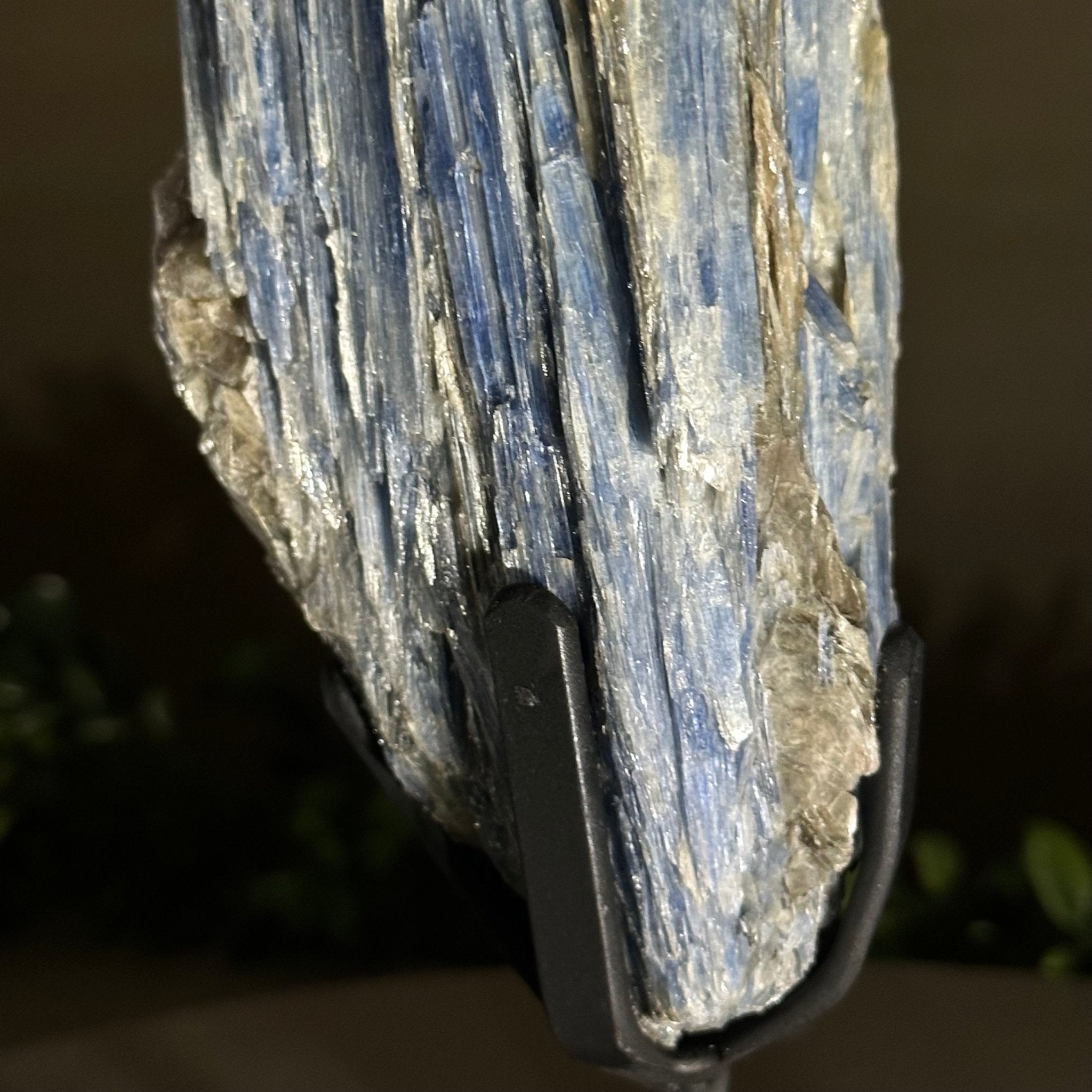 Kyanite Crystal on Metal Stand, 2.5 lbs & 9.4" Tall #6010 - 0015 - Brazil GemsBrazil GemsKyanite Crystal on Metal Stand, 2.5 lbs & 9.4" Tall #6010 - 0015Clusters on Fixed Bases6010 - 0015