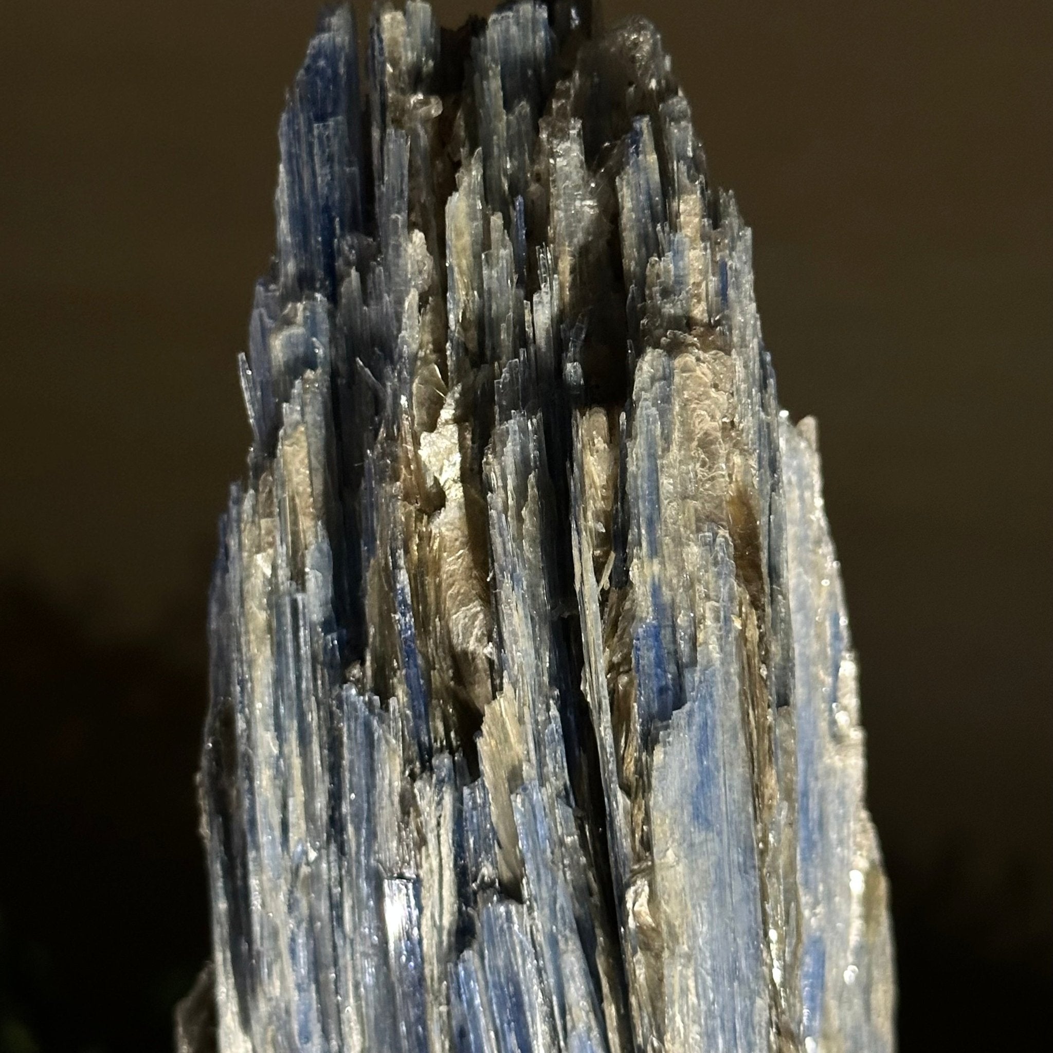 Kyanite Crystal on Metal Stand, 2.5 lbs & 9.4" Tall #6010 - 0015 - Brazil GemsBrazil GemsKyanite Crystal on Metal Stand, 2.5 lbs & 9.4" Tall #6010 - 0015Clusters on Fixed Bases6010 - 0015