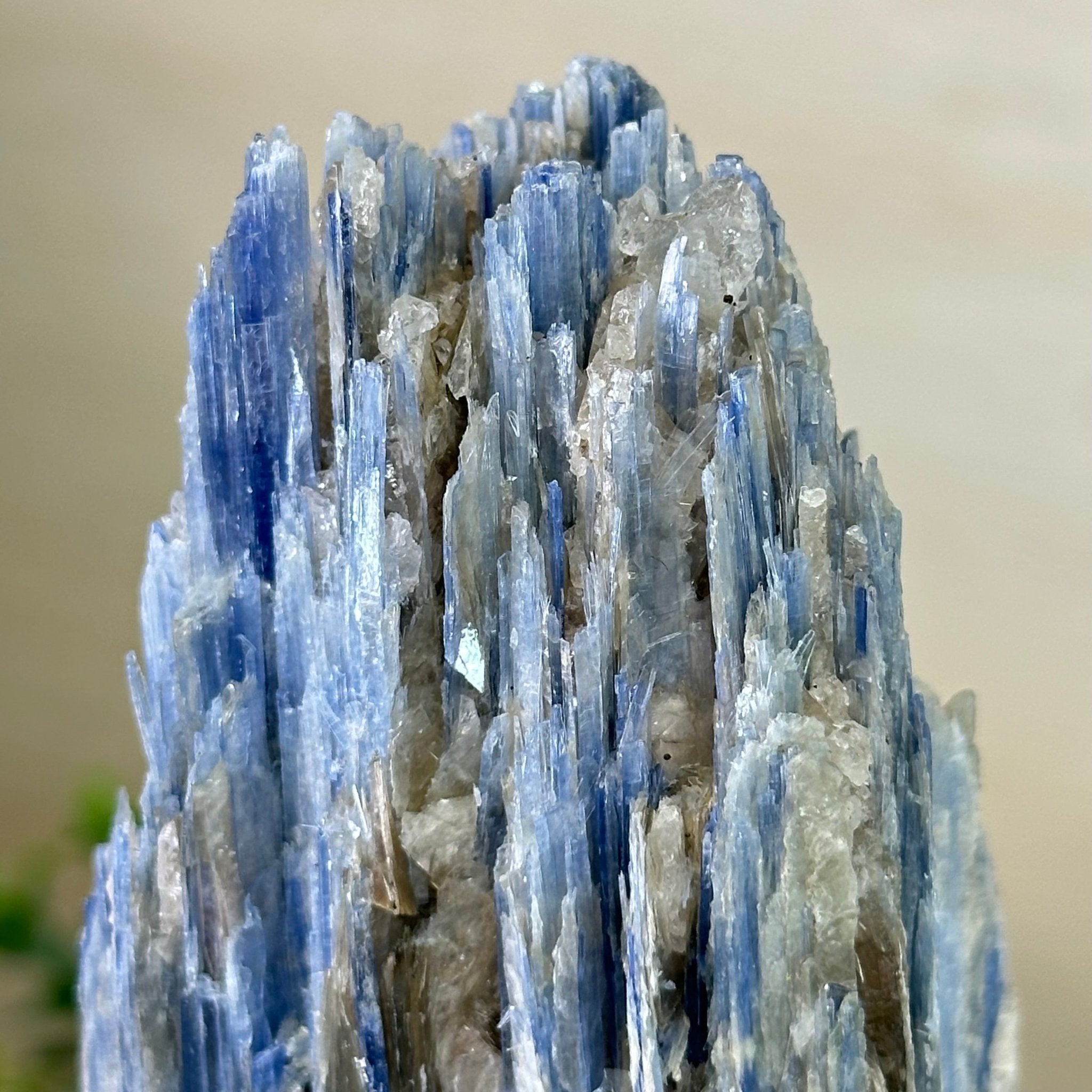 Kyanite Crystal on Metal Stand, 2.5 lbs & 9.4" Tall #6010 - 0015 - Brazil GemsBrazil GemsKyanite Crystal on Metal Stand, 2.5 lbs & 9.4" Tall #6010 - 0015Clusters on Fixed Bases6010 - 0015