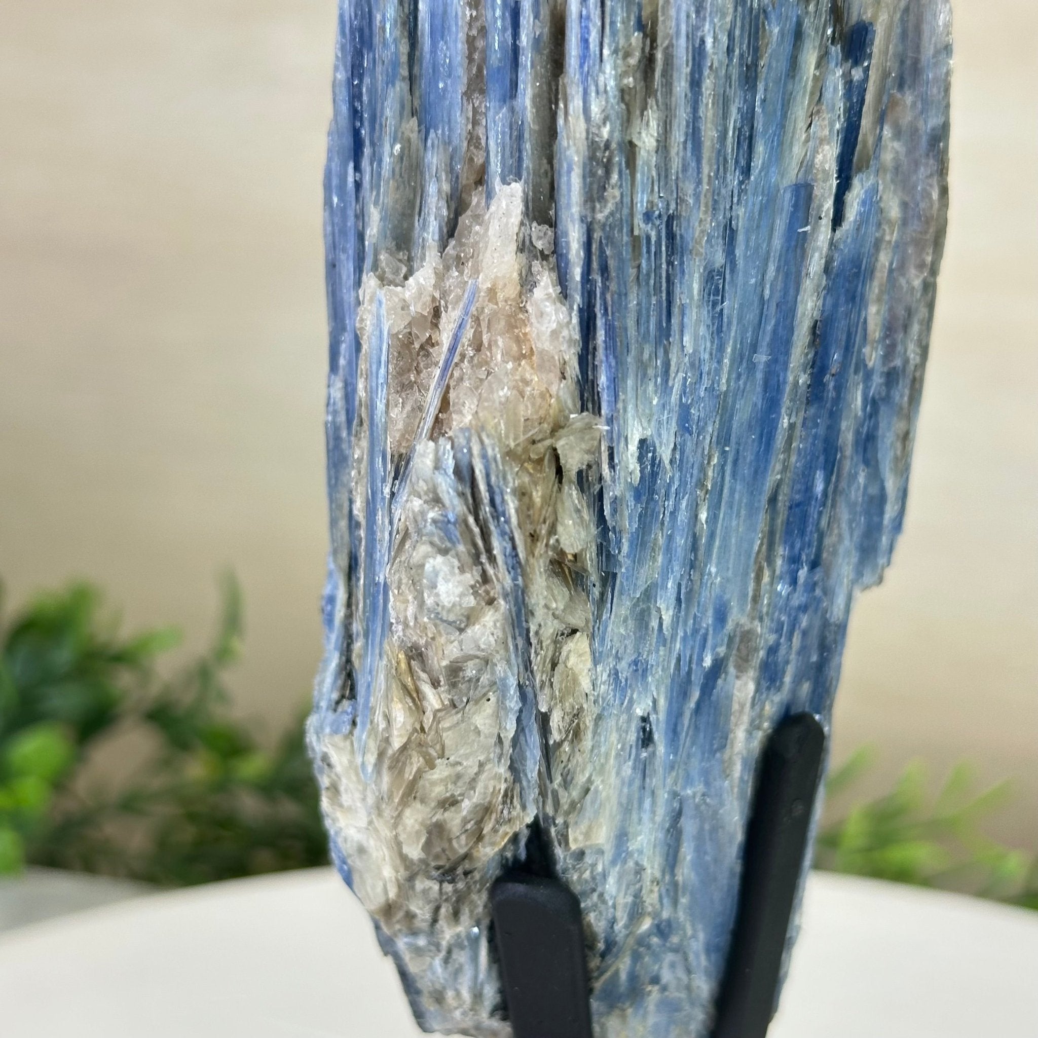 Kyanite Crystal on Metal Stand, 2.5 lbs & 9.4" Tall #6010 - 0015 - Brazil GemsBrazil GemsKyanite Crystal on Metal Stand, 2.5 lbs & 9.4" Tall #6010 - 0015Clusters on Fixed Bases6010 - 0015