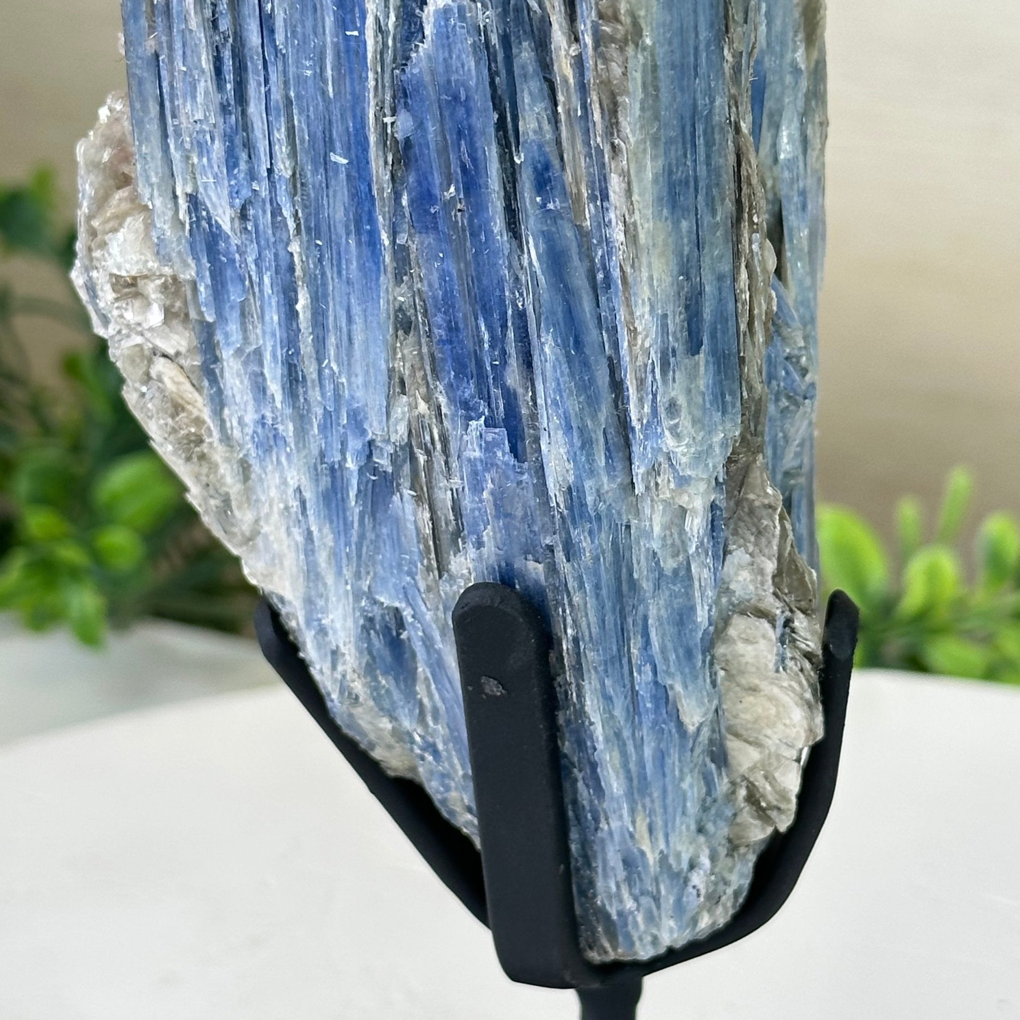 Kyanite Crystal on Metal Stand, 2.5 lbs & 9.4" Tall #6010 - 0015 - Brazil GemsBrazil GemsKyanite Crystal on Metal Stand, 2.5 lbs & 9.4" Tall #6010 - 0015Clusters on Fixed Bases6010 - 0015