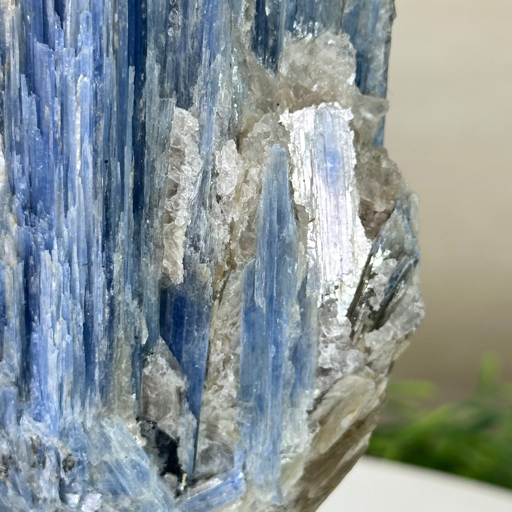 Kyanite Crystal on Metal Stand, 2.5 lbs & 9.4" Tall #6010 - 0015 - Brazil GemsBrazil GemsKyanite Crystal on Metal Stand, 2.5 lbs & 9.4" Tall #6010 - 0015Clusters on Fixed Bases6010 - 0015