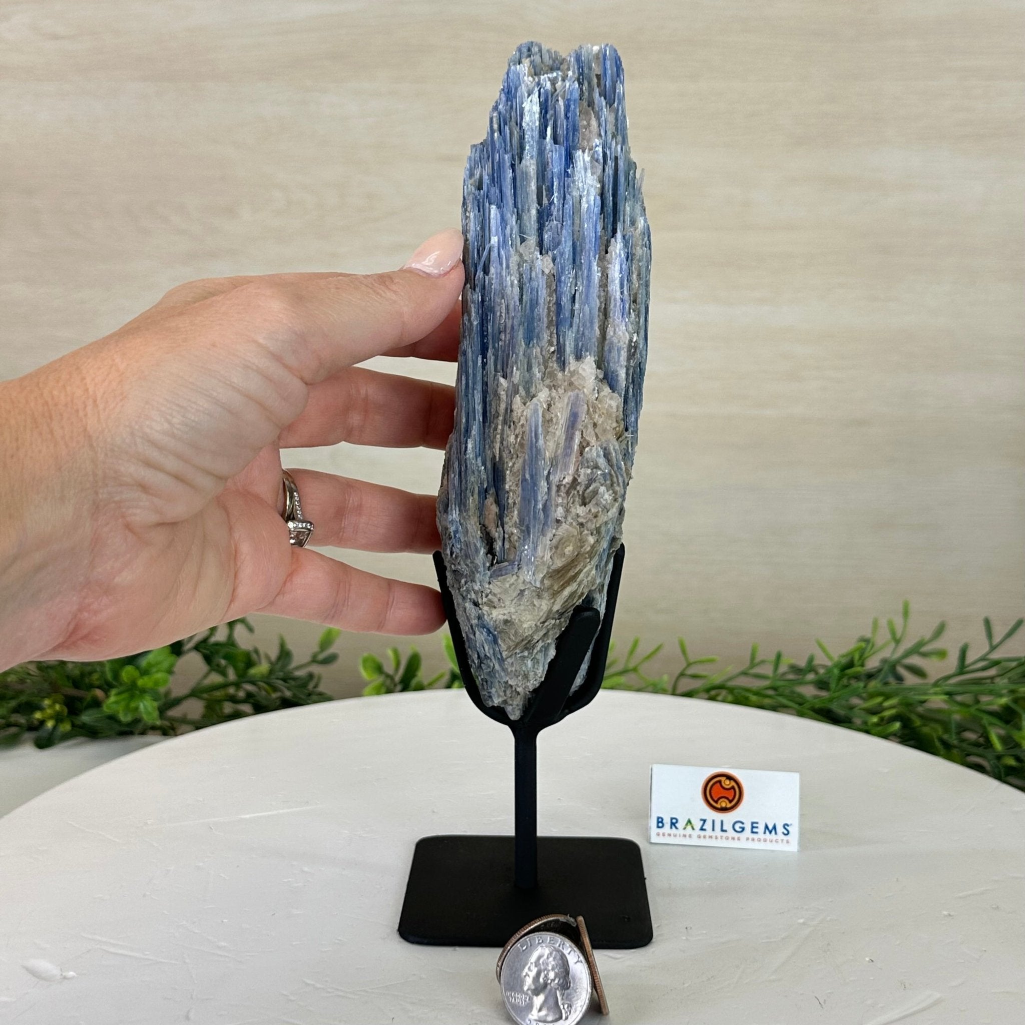 Kyanite Crystal on Metal Stand, 2.5 lbs & 9.4" Tall #6010 - 0015 - Brazil GemsBrazil GemsKyanite Crystal on Metal Stand, 2.5 lbs & 9.4" Tall #6010 - 0015Clusters on Fixed Bases6010 - 0015