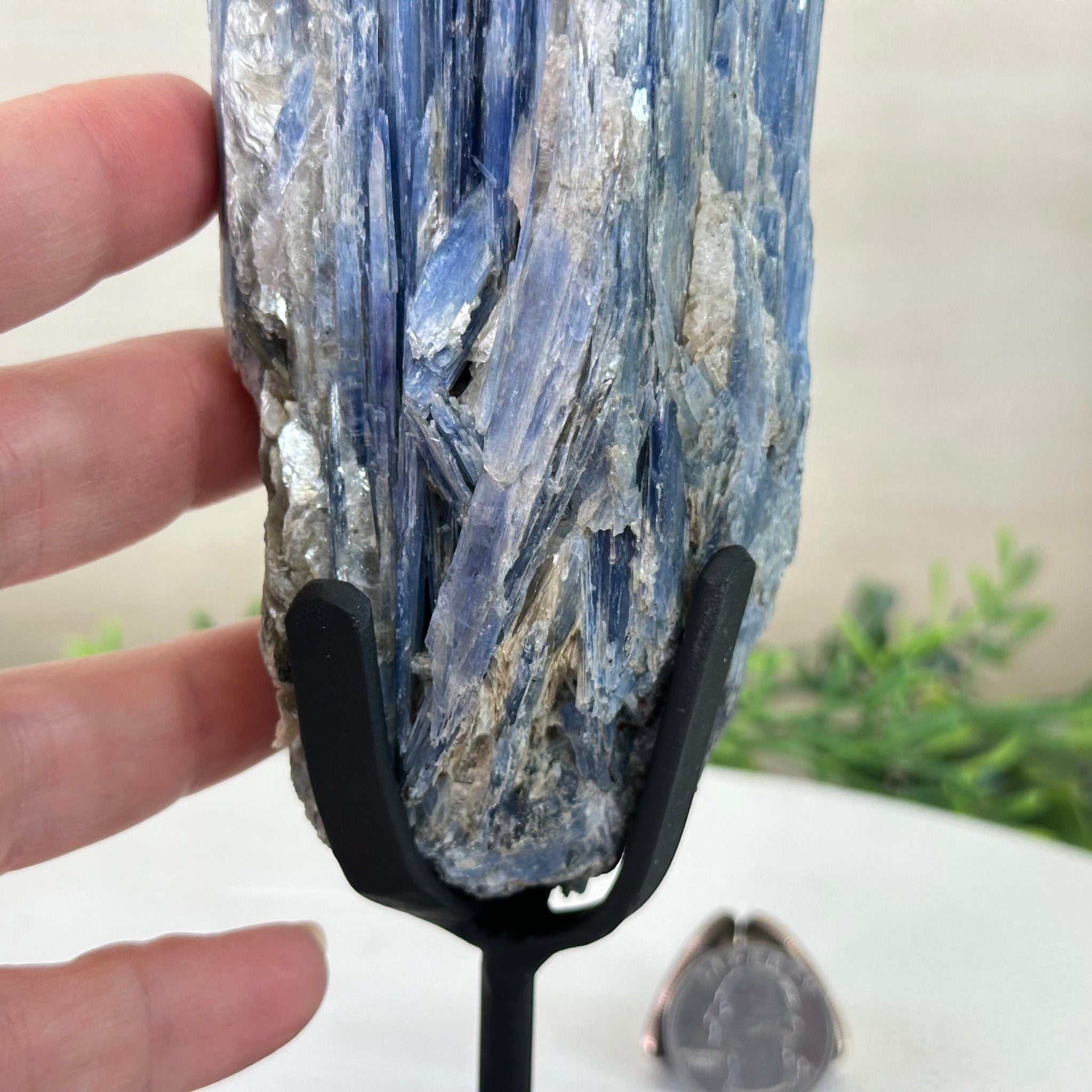 Kyanite Crystal on Metal Stand, 2.5 lbs & 9.4" Tall #6010 - 0015 - Brazil GemsBrazil GemsKyanite Crystal on Metal Stand, 2.5 lbs & 9.4" Tall #6010 - 0015Clusters on Fixed Bases6010 - 0015