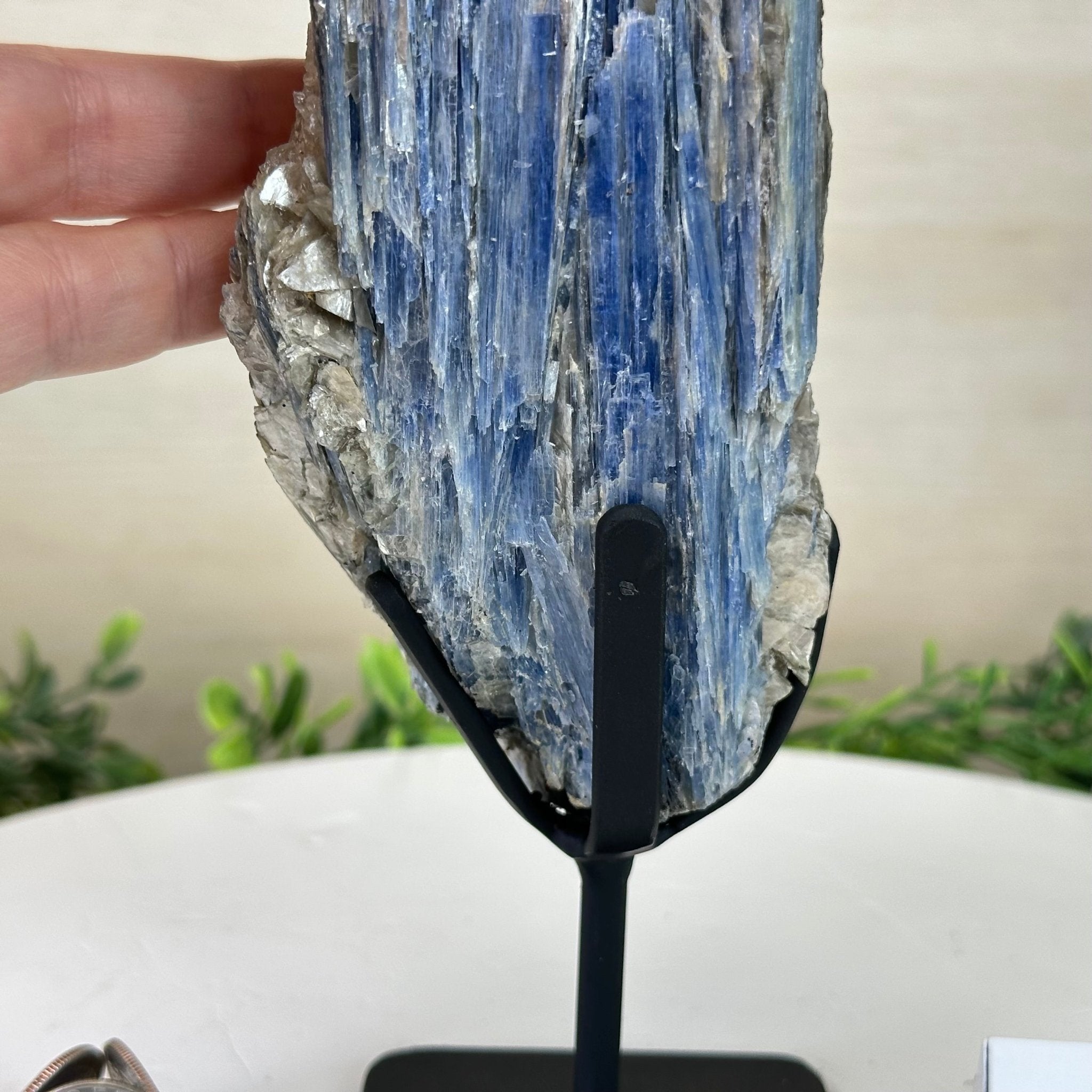 Kyanite Crystal on Metal Stand, 2.5 lbs & 9.4" Tall #6010 - 0015 - Brazil GemsBrazil GemsKyanite Crystal on Metal Stand, 2.5 lbs & 9.4" Tall #6010 - 0015Clusters on Fixed Bases6010 - 0015