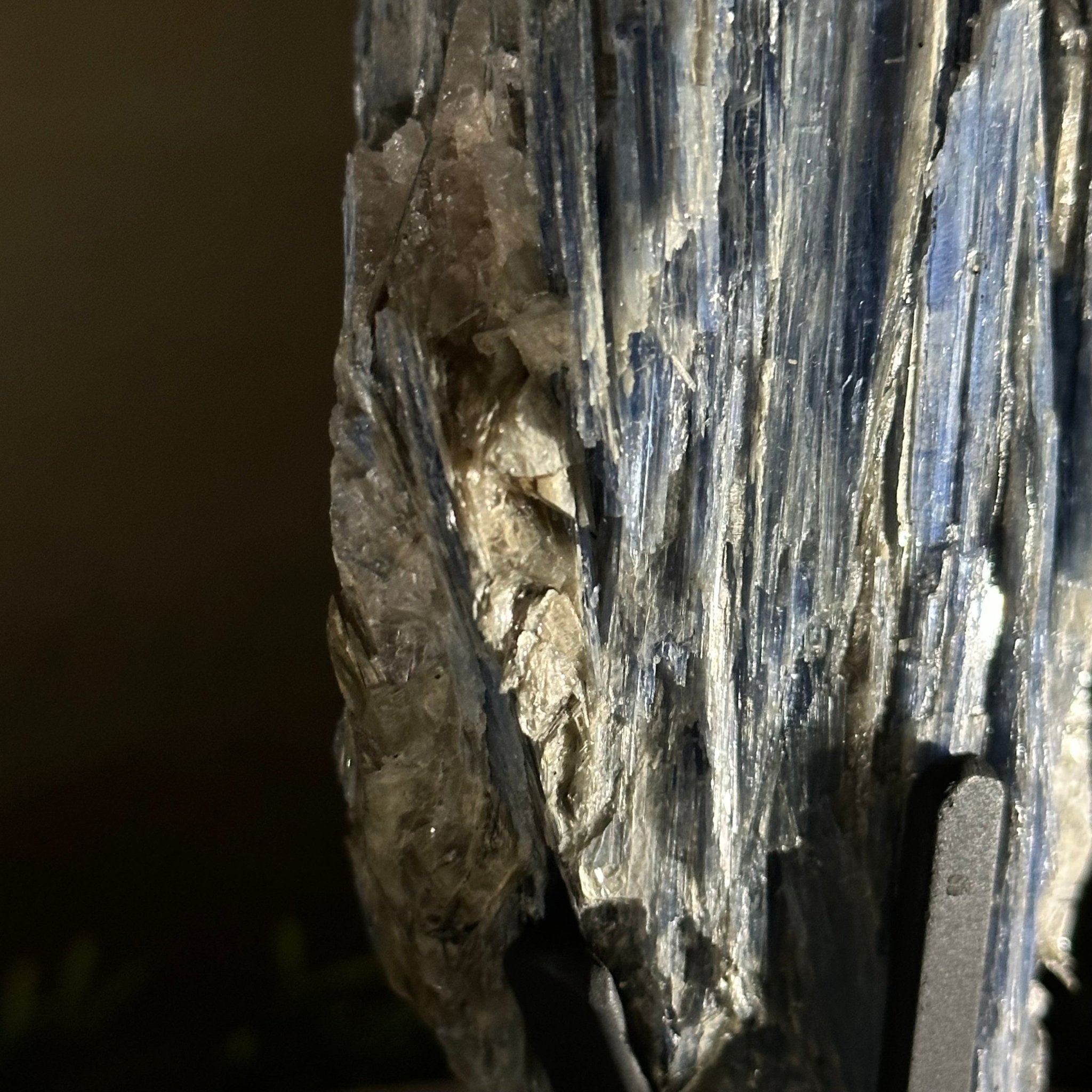 Kyanite Crystal on Metal Stand, 2.5 lbs & 9.4" Tall #6010 - 0015 - Brazil GemsBrazil GemsKyanite Crystal on Metal Stand, 2.5 lbs & 9.4" Tall #6010 - 0015Clusters on Fixed Bases6010 - 0015