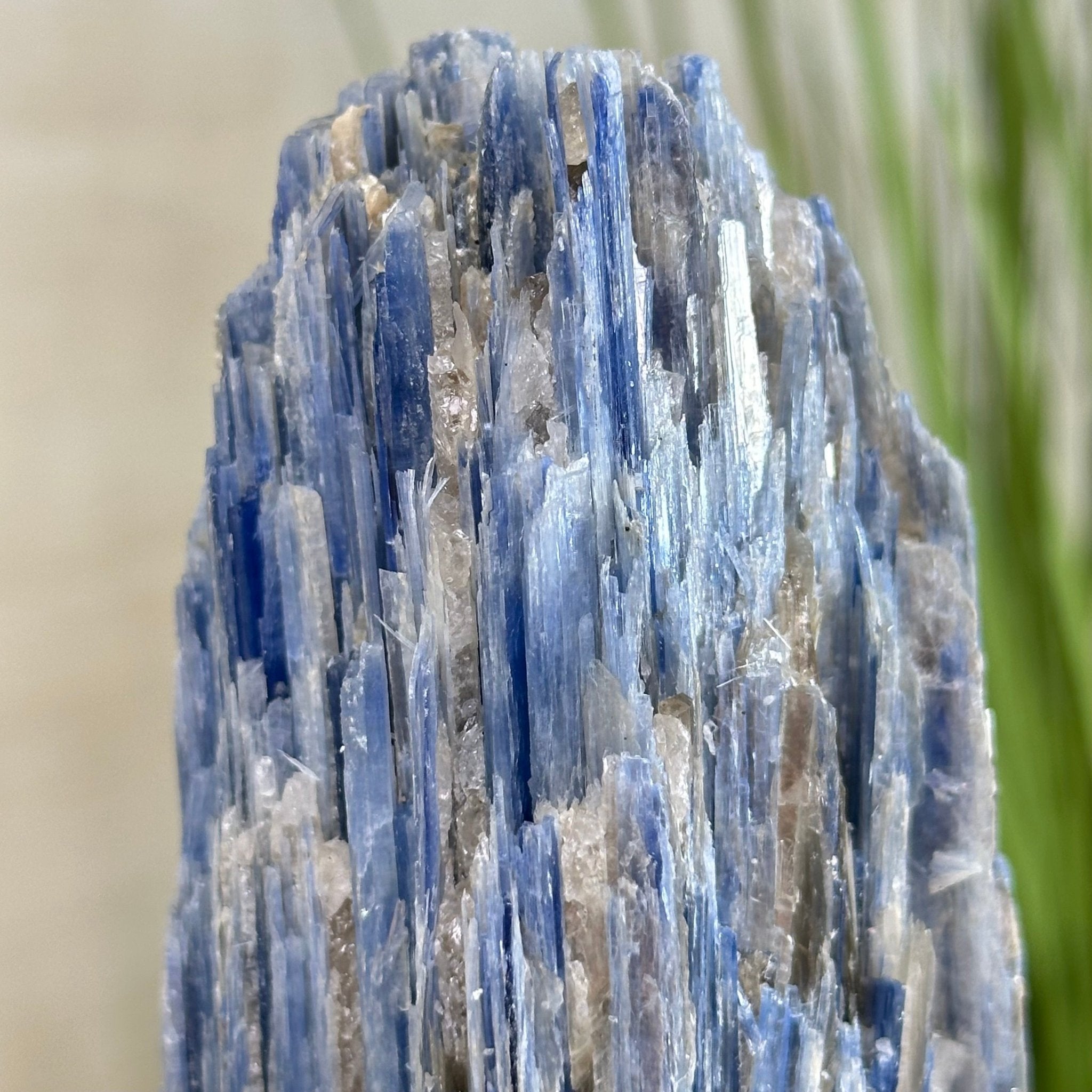 Kyanite Crystal on Metal Stand, 2.5 lbs & 9.4" Tall #6010 - 0015 - Brazil GemsBrazil GemsKyanite Crystal on Metal Stand, 2.5 lbs & 9.4" Tall #6010 - 0015Clusters on Fixed Bases6010 - 0015