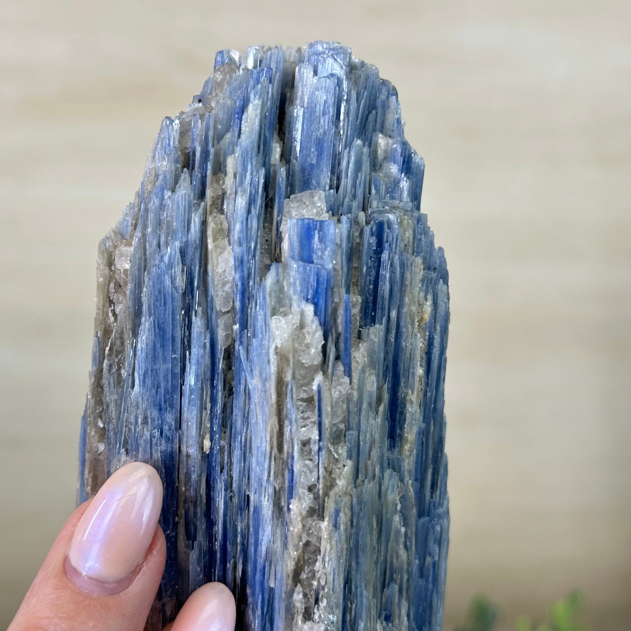 Kyanite Crystal on Metal Stand, 2.5 lbs & 9.4" Tall #6010 - 0015 - Brazil GemsBrazil GemsKyanite Crystal on Metal Stand, 2.5 lbs & 9.4" Tall #6010 - 0015Clusters on Fixed Bases6010 - 0015