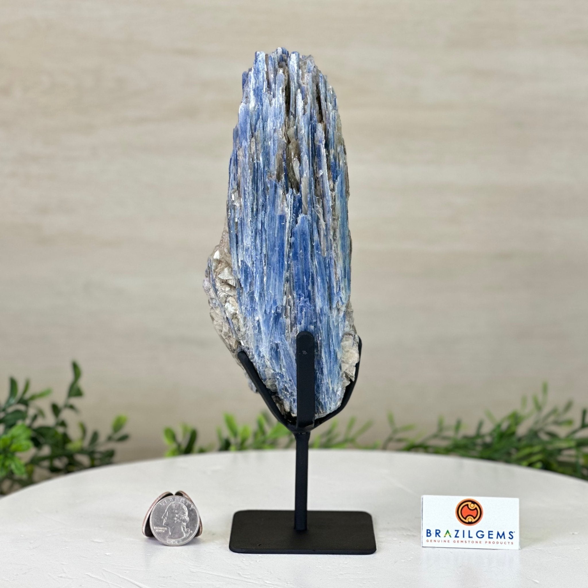 Kyanite Crystal on Metal Stand, 2.5 lbs & 9.4" Tall #6010 - 0015 - Brazil GemsBrazil GemsKyanite Crystal on Metal Stand, 2.5 lbs & 9.4" Tall #6010 - 0015Clusters on Fixed Bases6010 - 0015