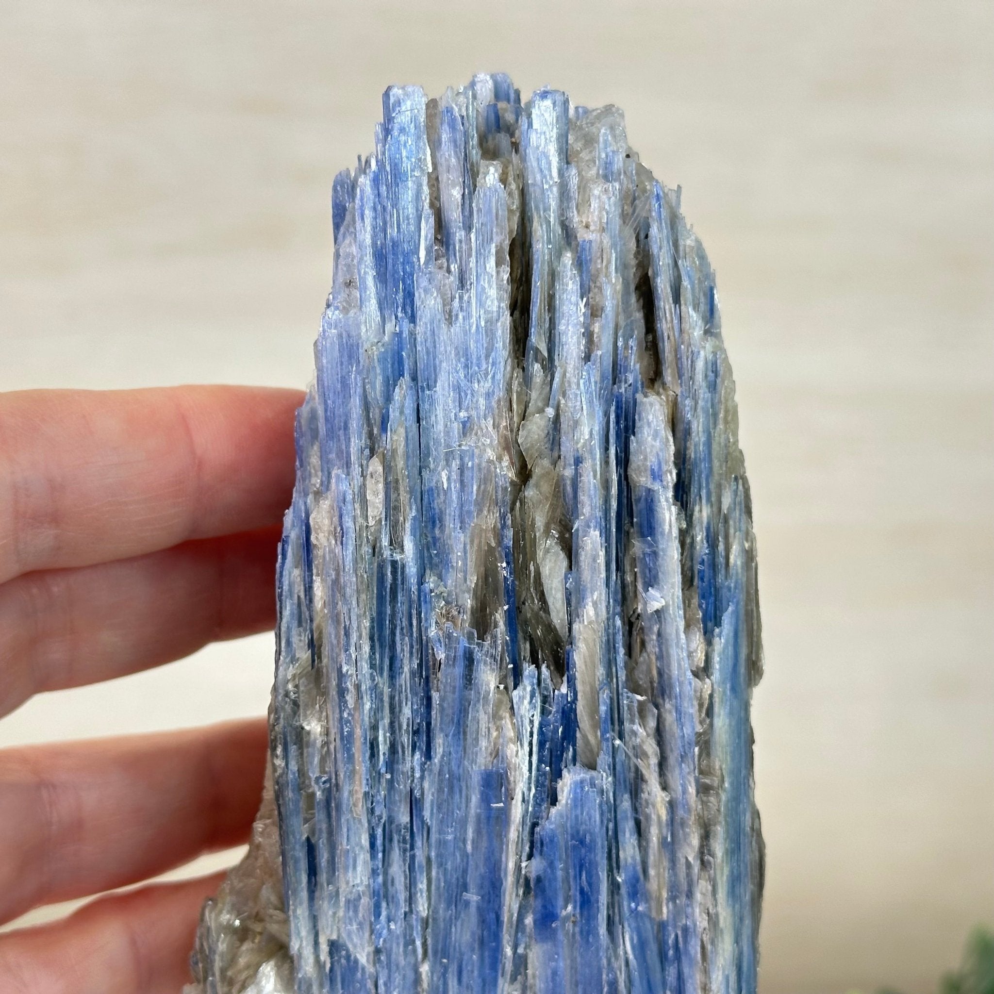 Kyanite Crystal on Metal Stand, 2.5 lbs & 9.4" Tall #6010 - 0015 - Brazil GemsBrazil GemsKyanite Crystal on Metal Stand, 2.5 lbs & 9.4" Tall #6010 - 0015Clusters on Fixed Bases6010 - 0015